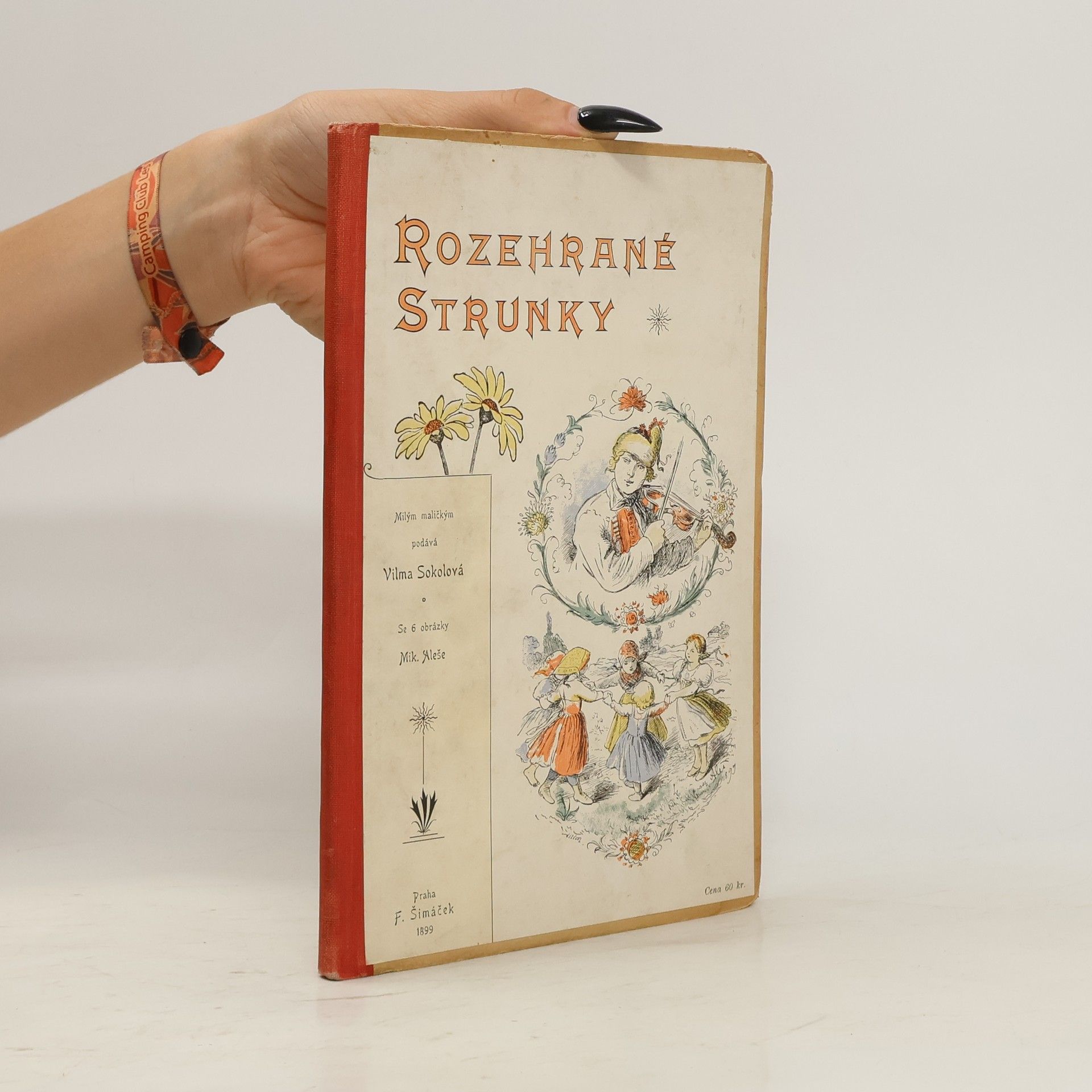 Vilma Sokolová Rozehrané strunky