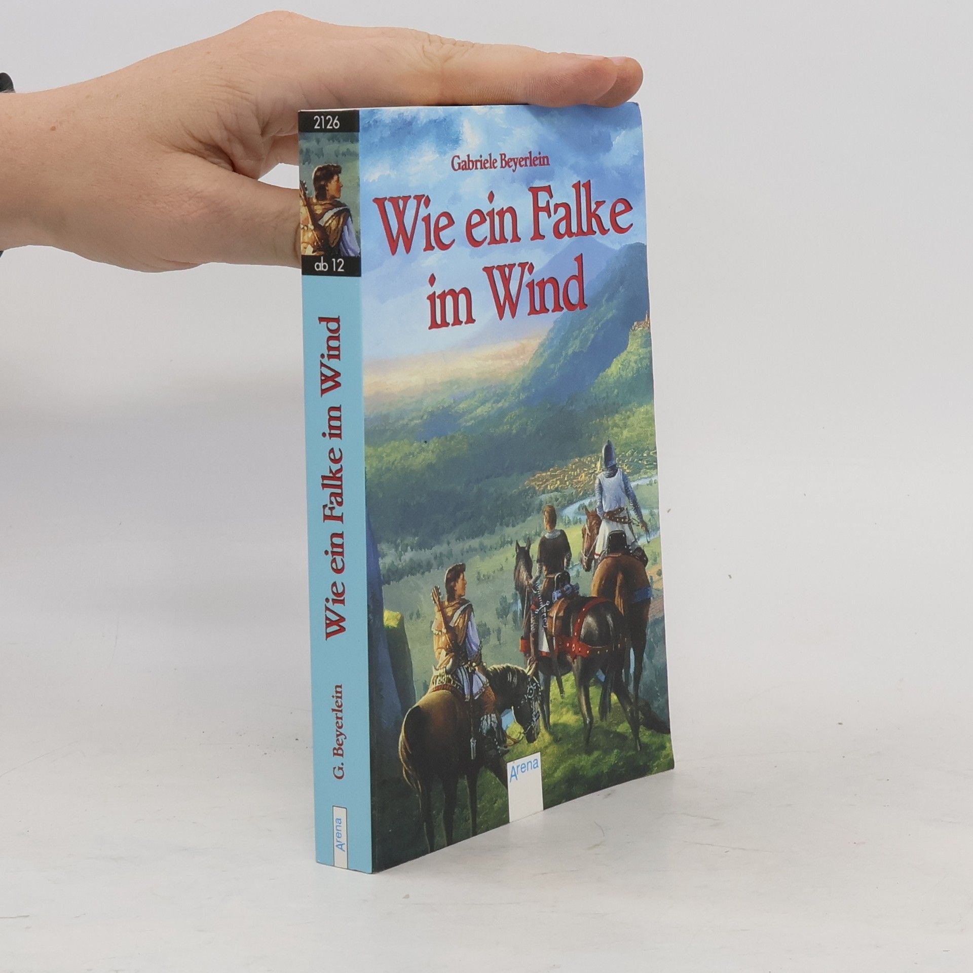 Gabriele Beyerlein Wie ein Falke im Wind