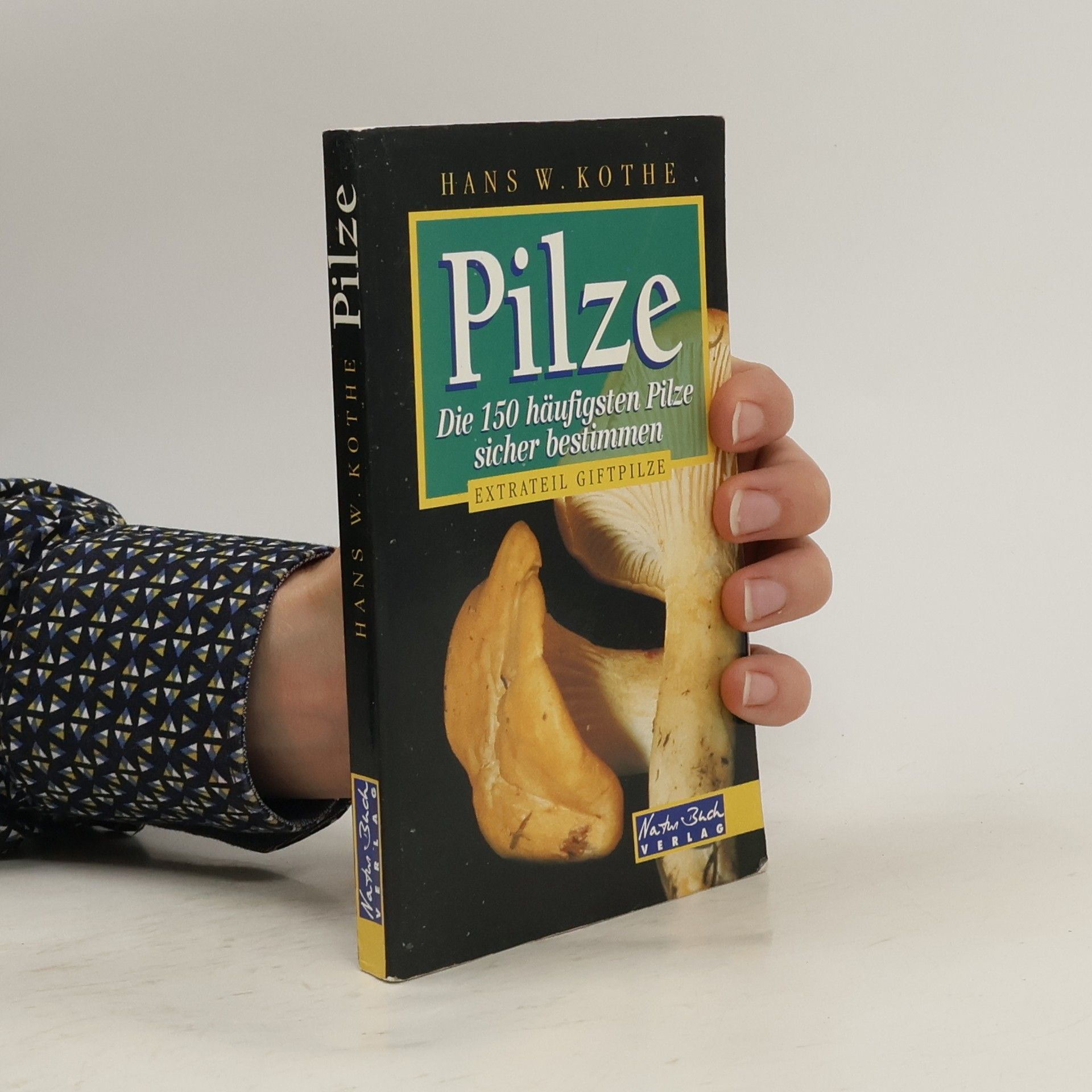 Hans W. Kothe Pilze