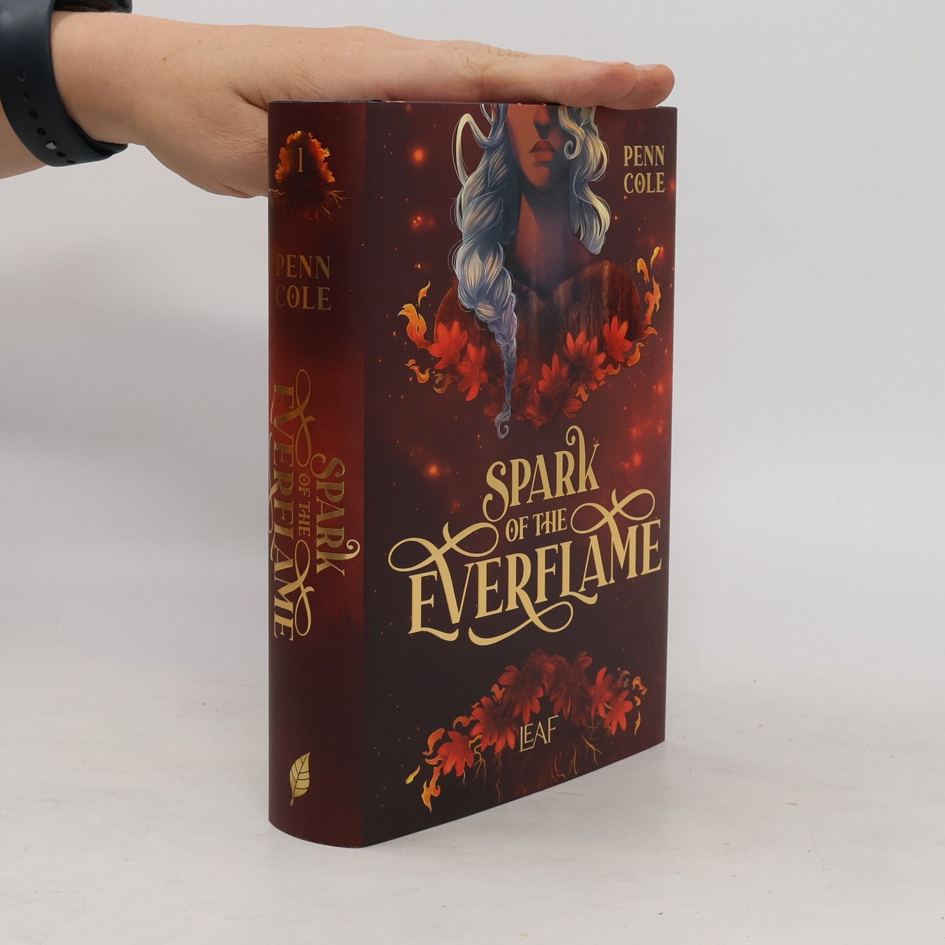 Penn Cole Spark of the Everflame / Kindred´s Curse Saga Bd.1