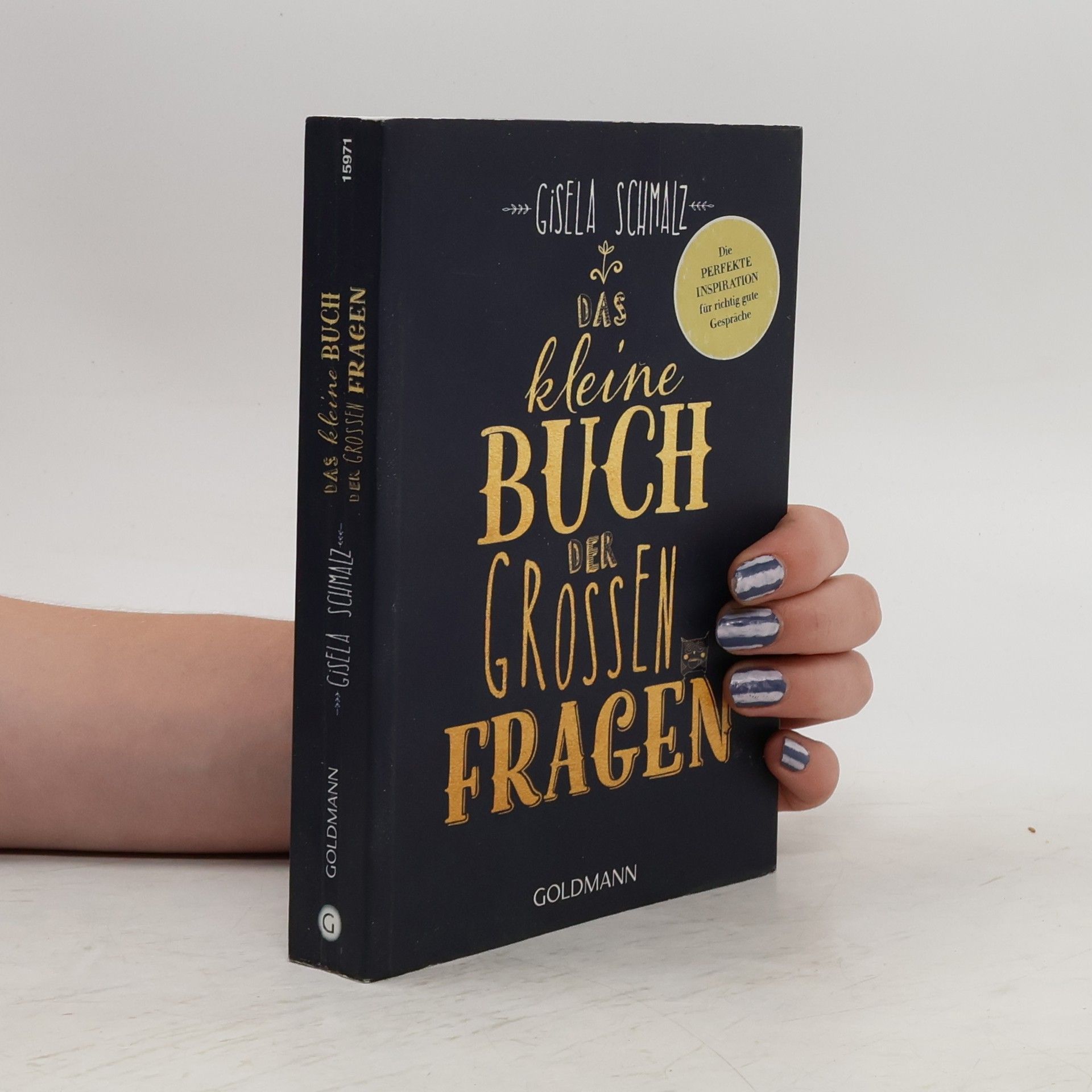 Gisela Schmalz Das kleine Buch der grossen Fragen