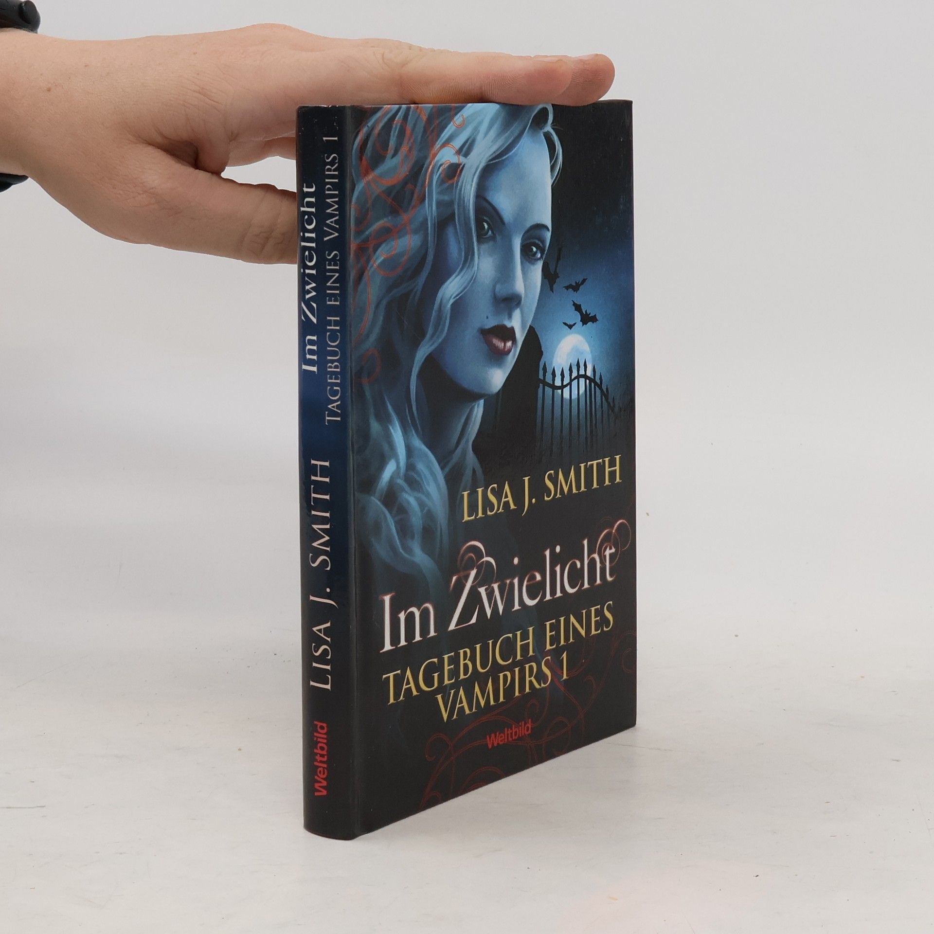 L. J. Smith Tagebuch eines Vampirs 1. Im Zwielicht