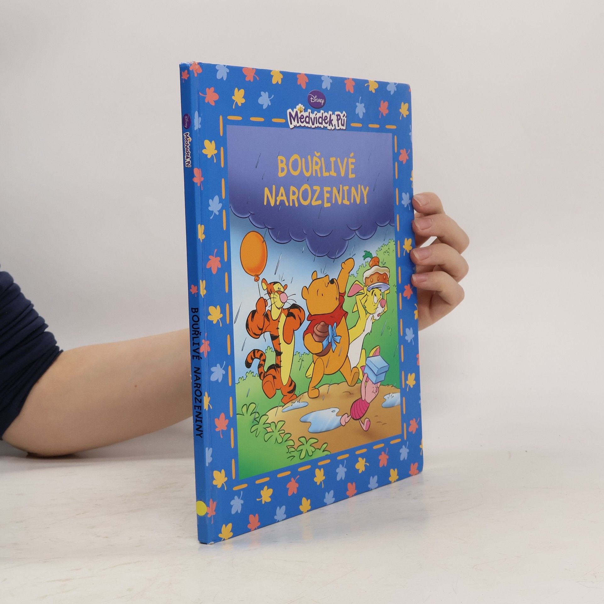 Walt Disney Medvídek Pú - Bouřlivé narozeniny