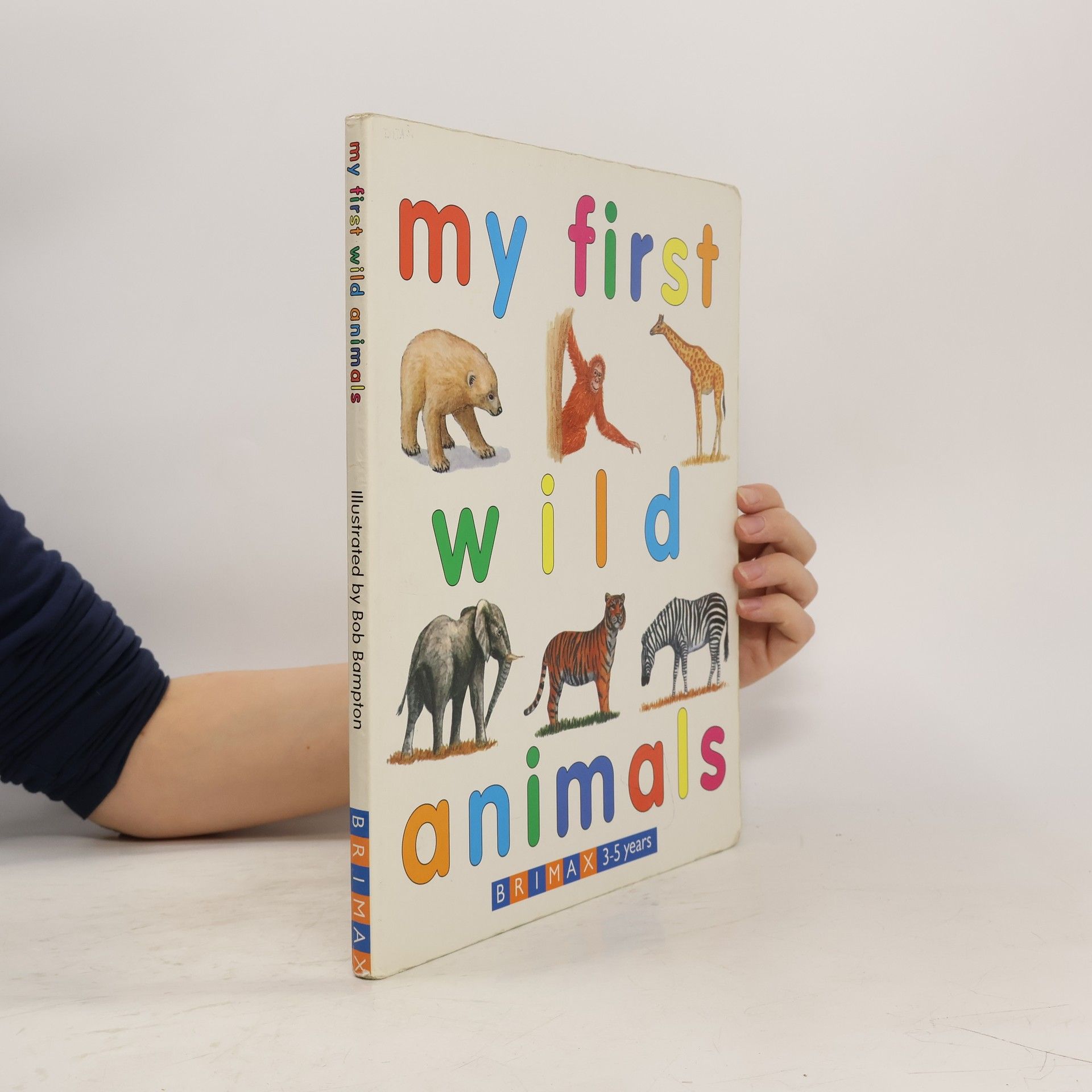 Autumn Publishing My First Wild Animals Large Bd