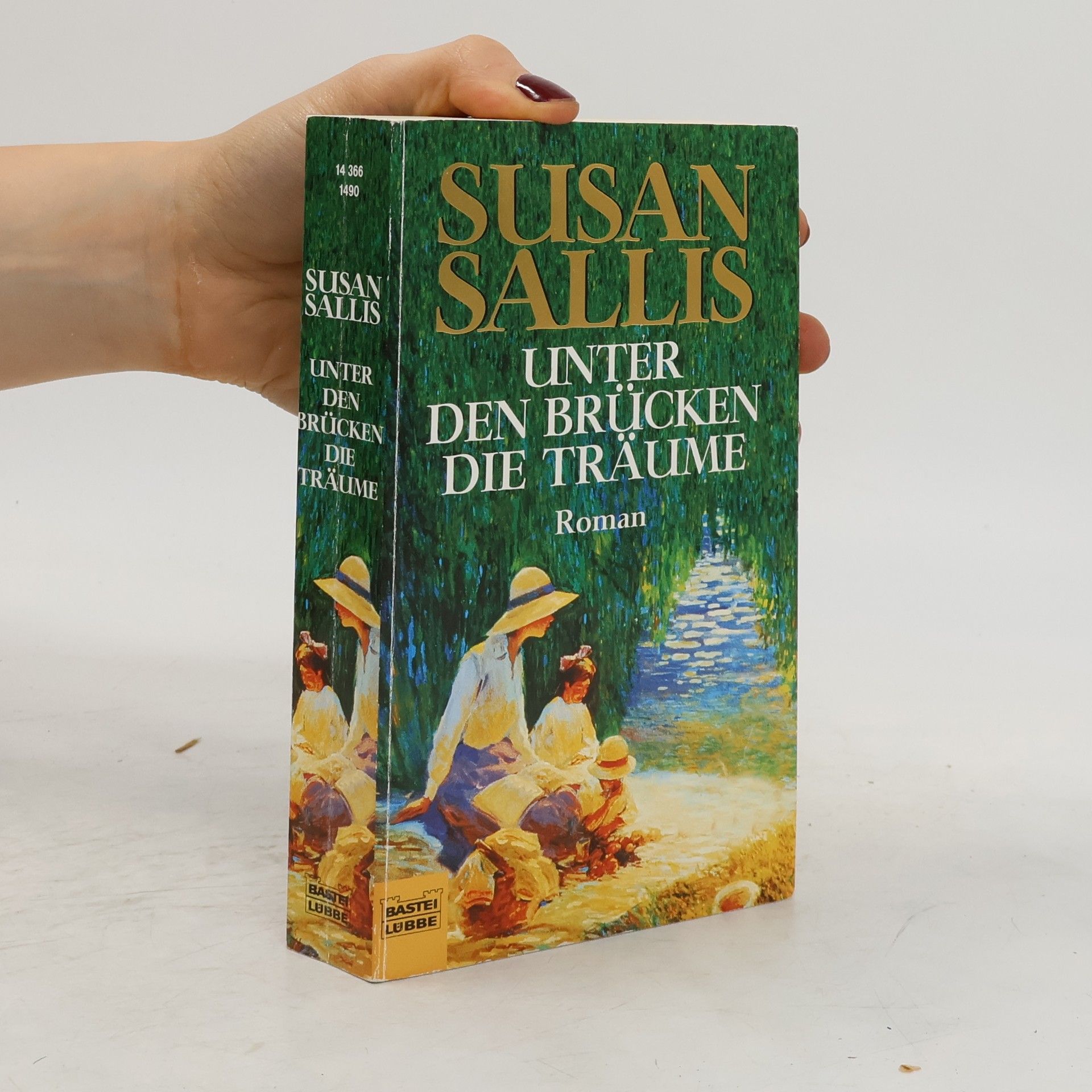 Susan Sallis Unter den Brücken die Träume