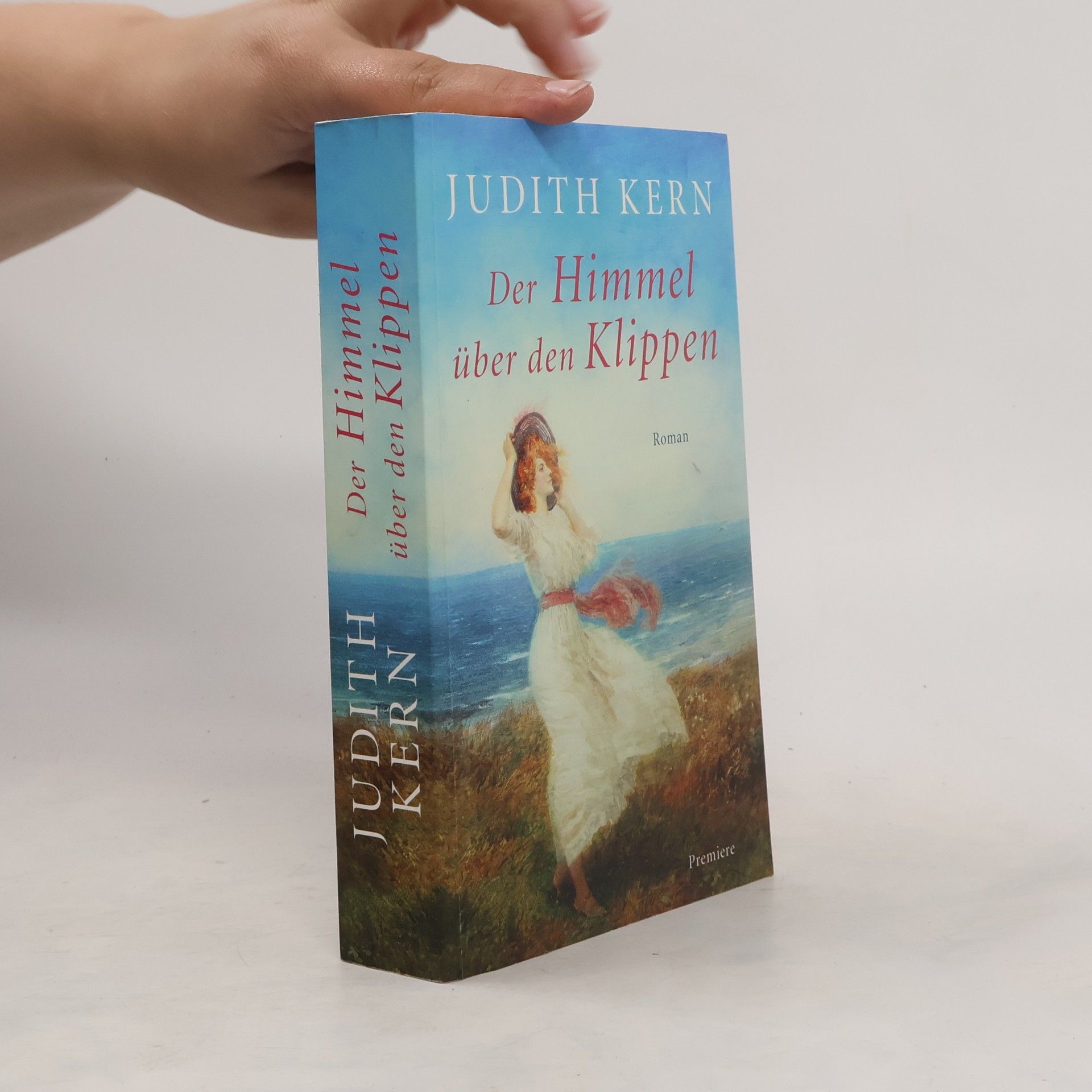 Judith Kern Der Himmel über den Klippen