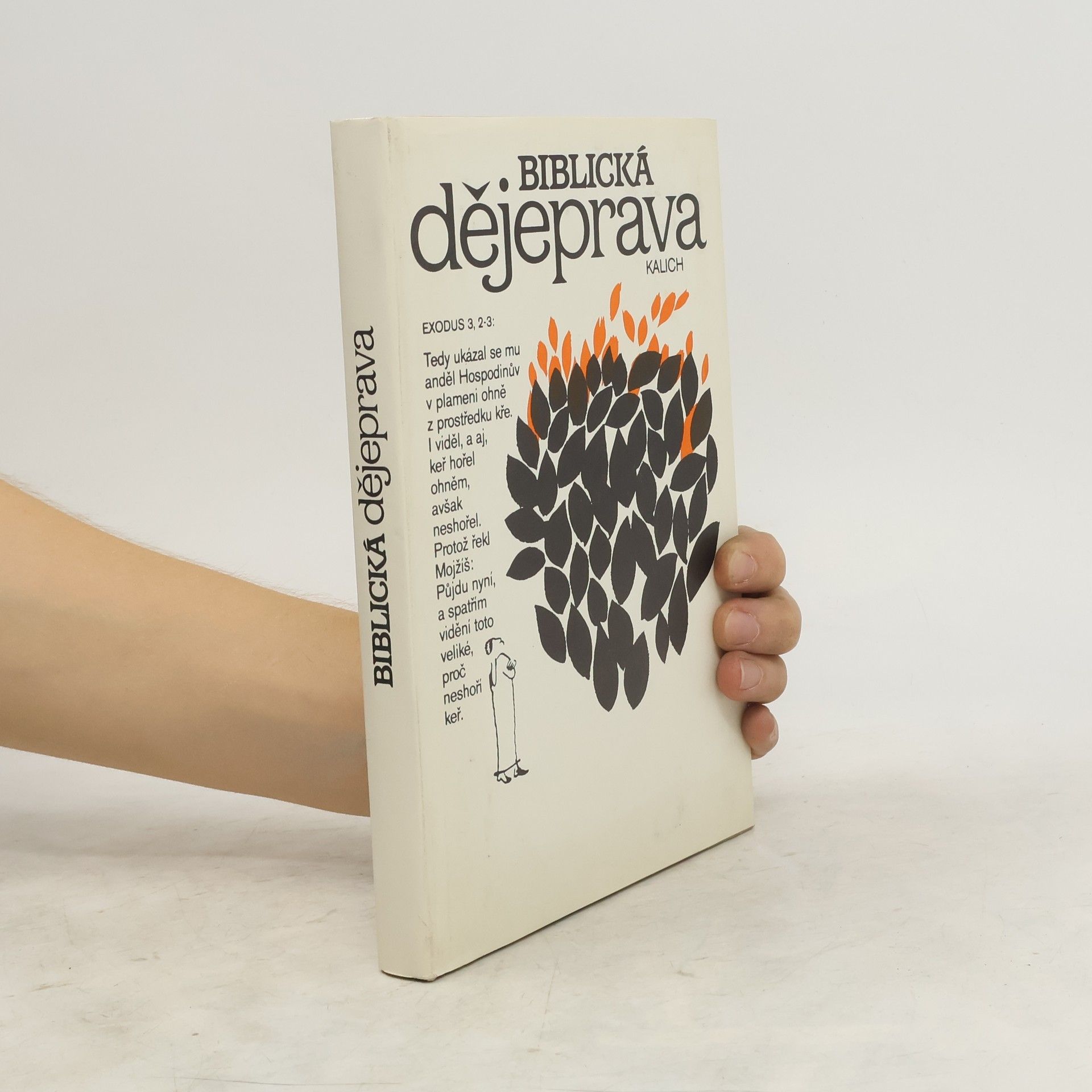 Autorenkollektiv Biblická dějeprava