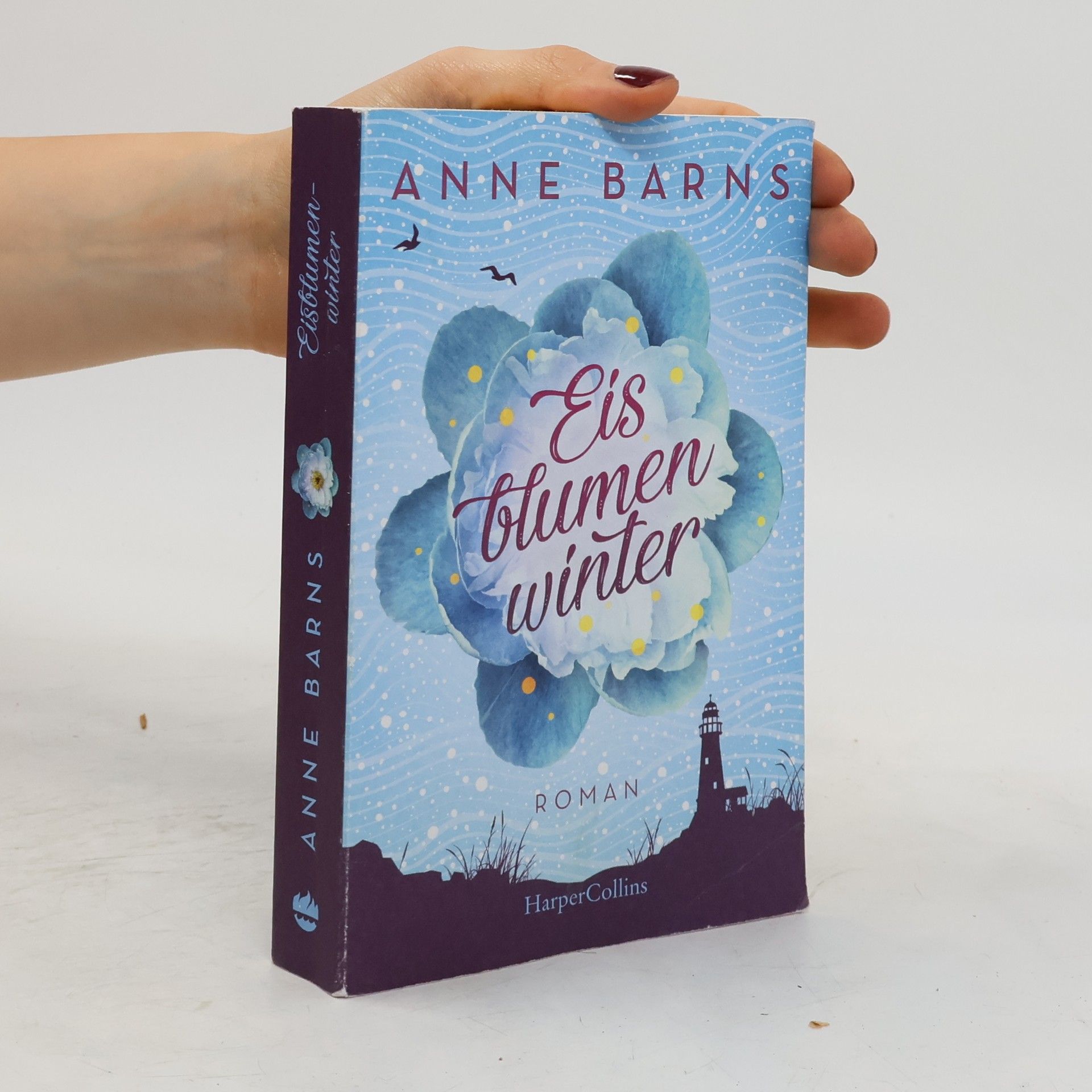 Anne Barns Eisblumenwinter
