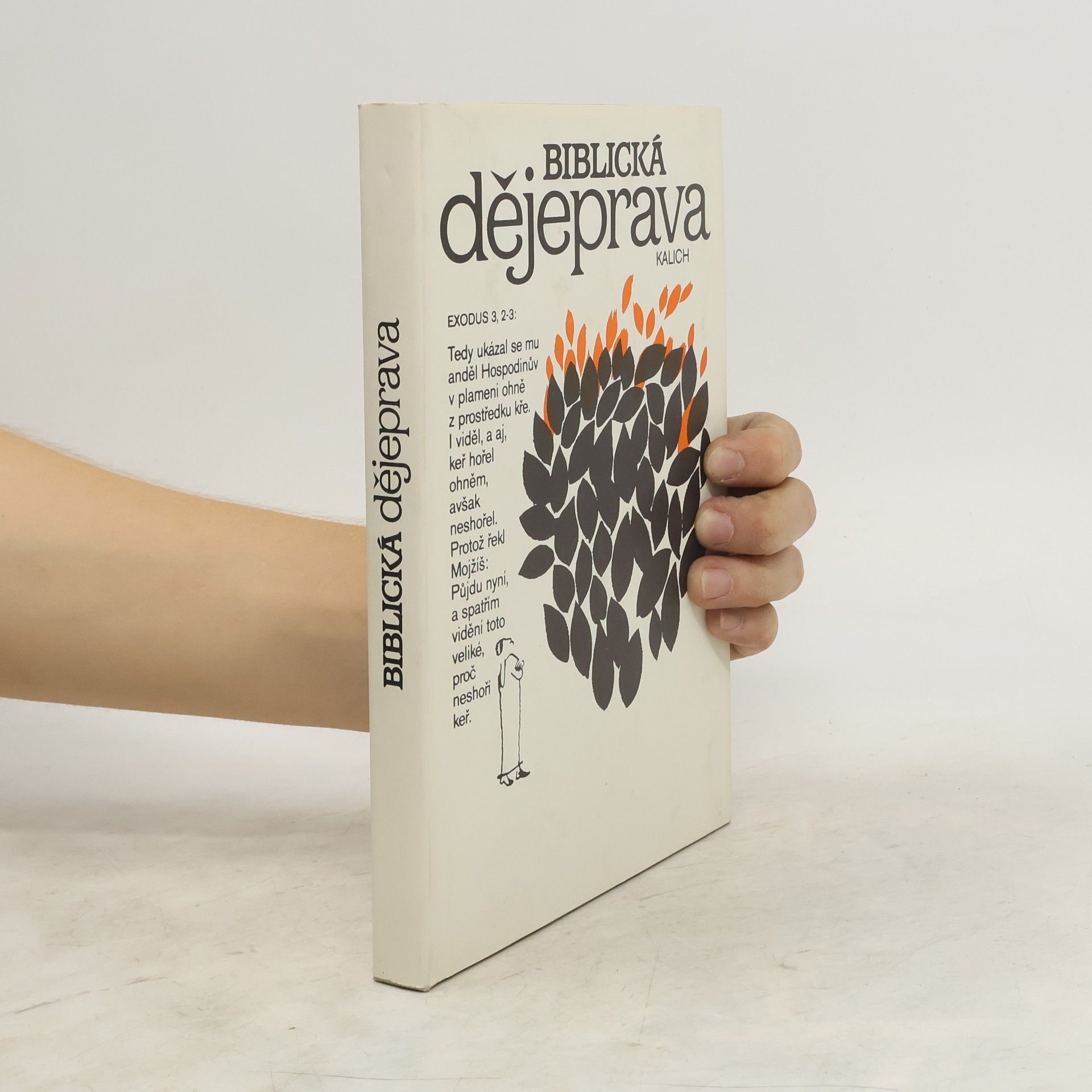 Autores varios Biblická dějeprava