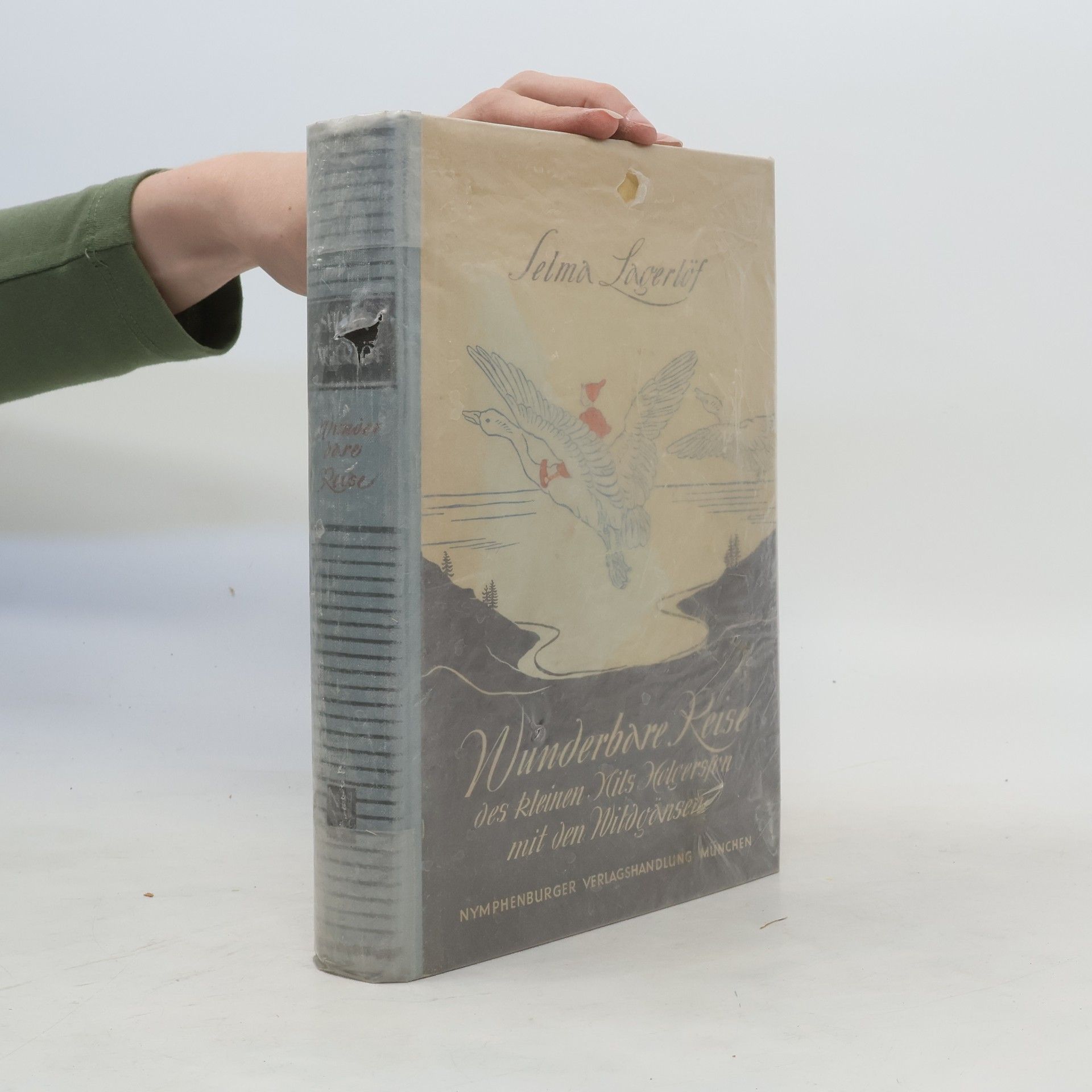 Selma Lagerlöf Wunderbare Reise