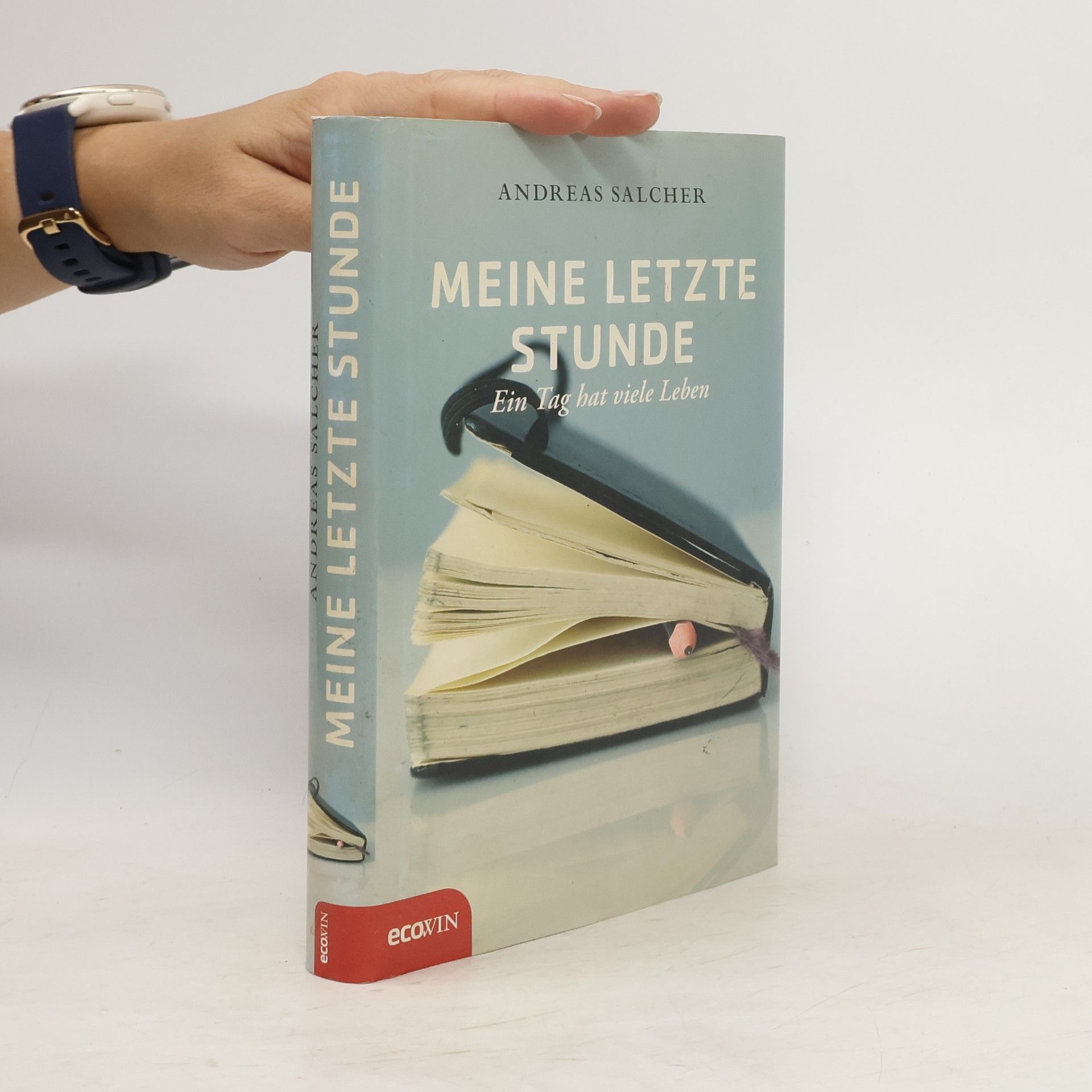 Andreas Salcher Meine letzte Stunde