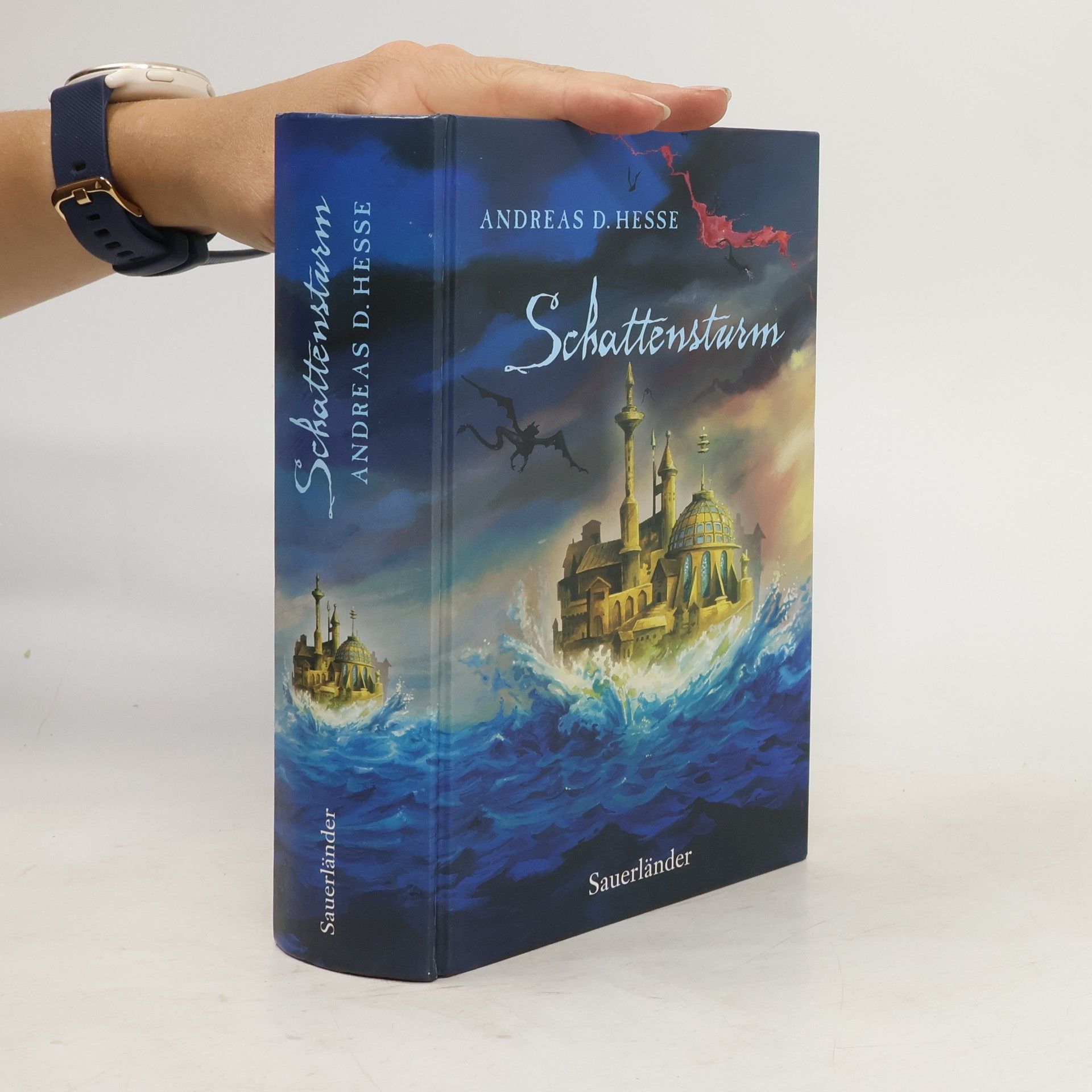 Andreas D. Hesse Schattensturm. Roman