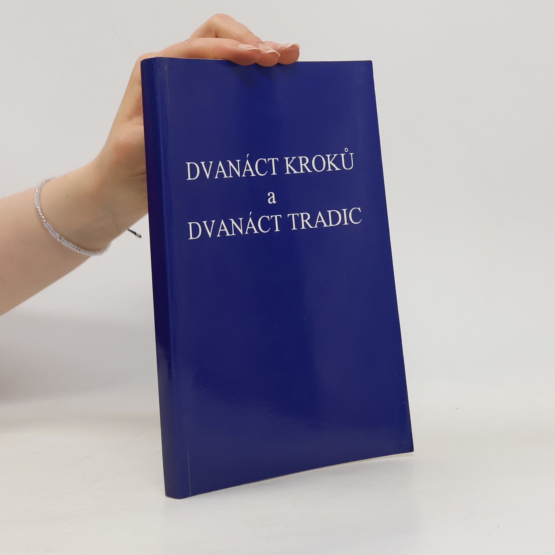 Collectif d'auteurs Dvanáct kroků a dvanáct tradic