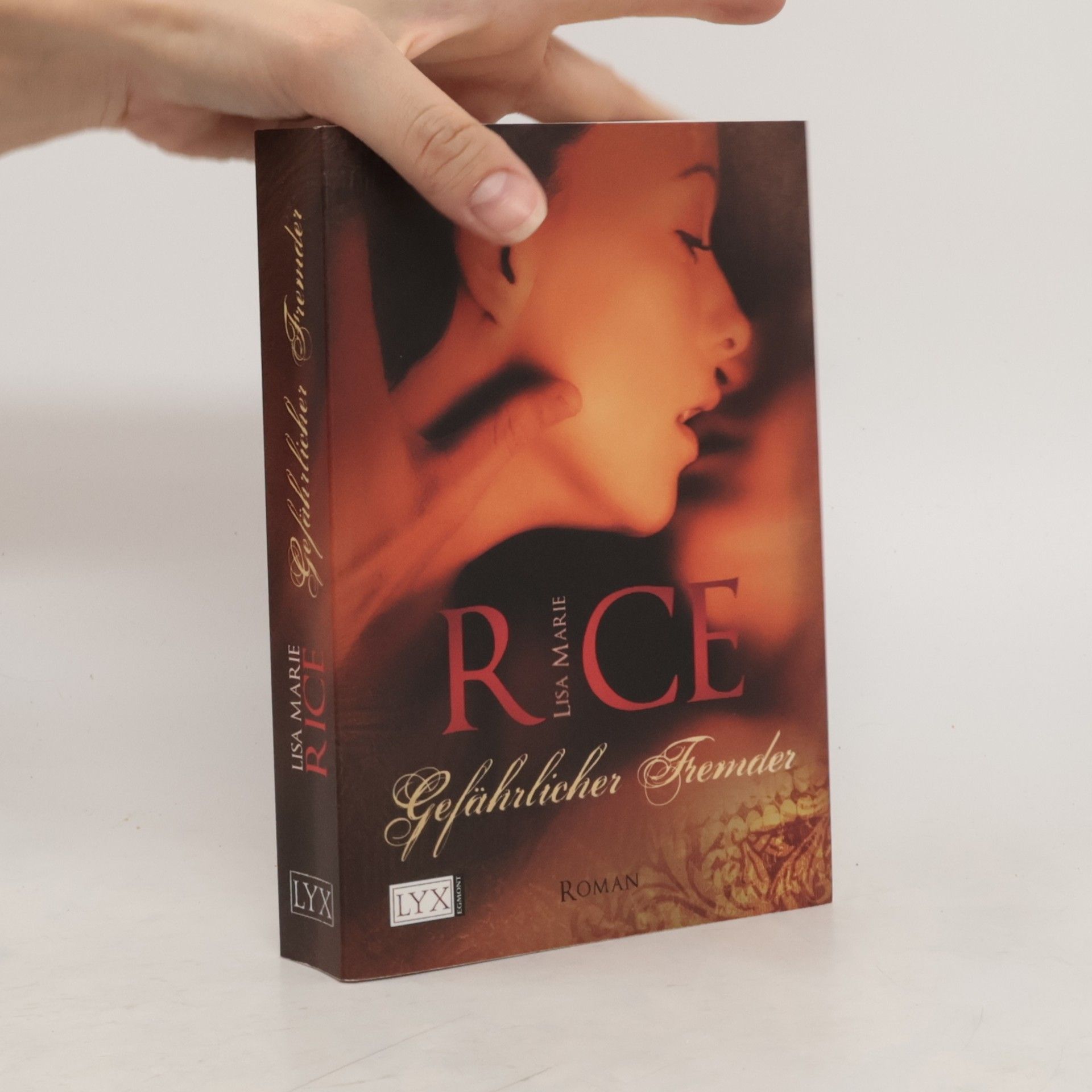 Lisa Marie Rice Gefährlicher Fremder