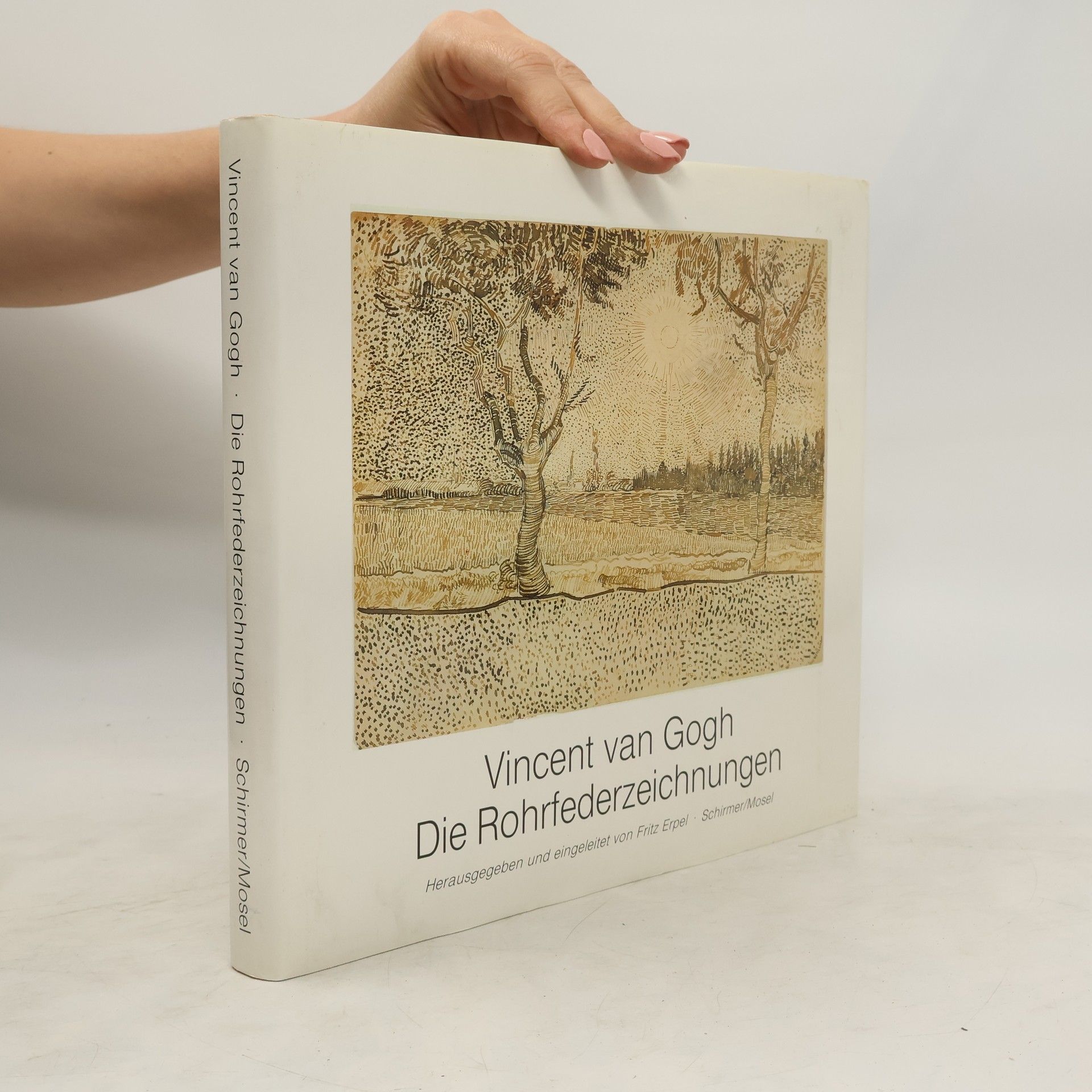 Vincent van Gogh Die Rohrfederzeichnungen