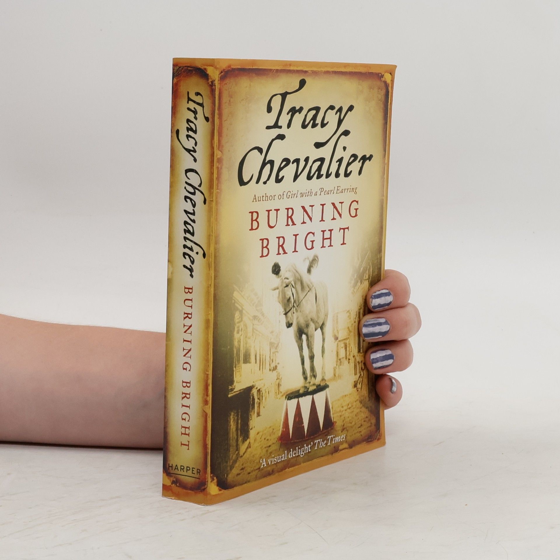 Tracy Chevalier Burning Bright
