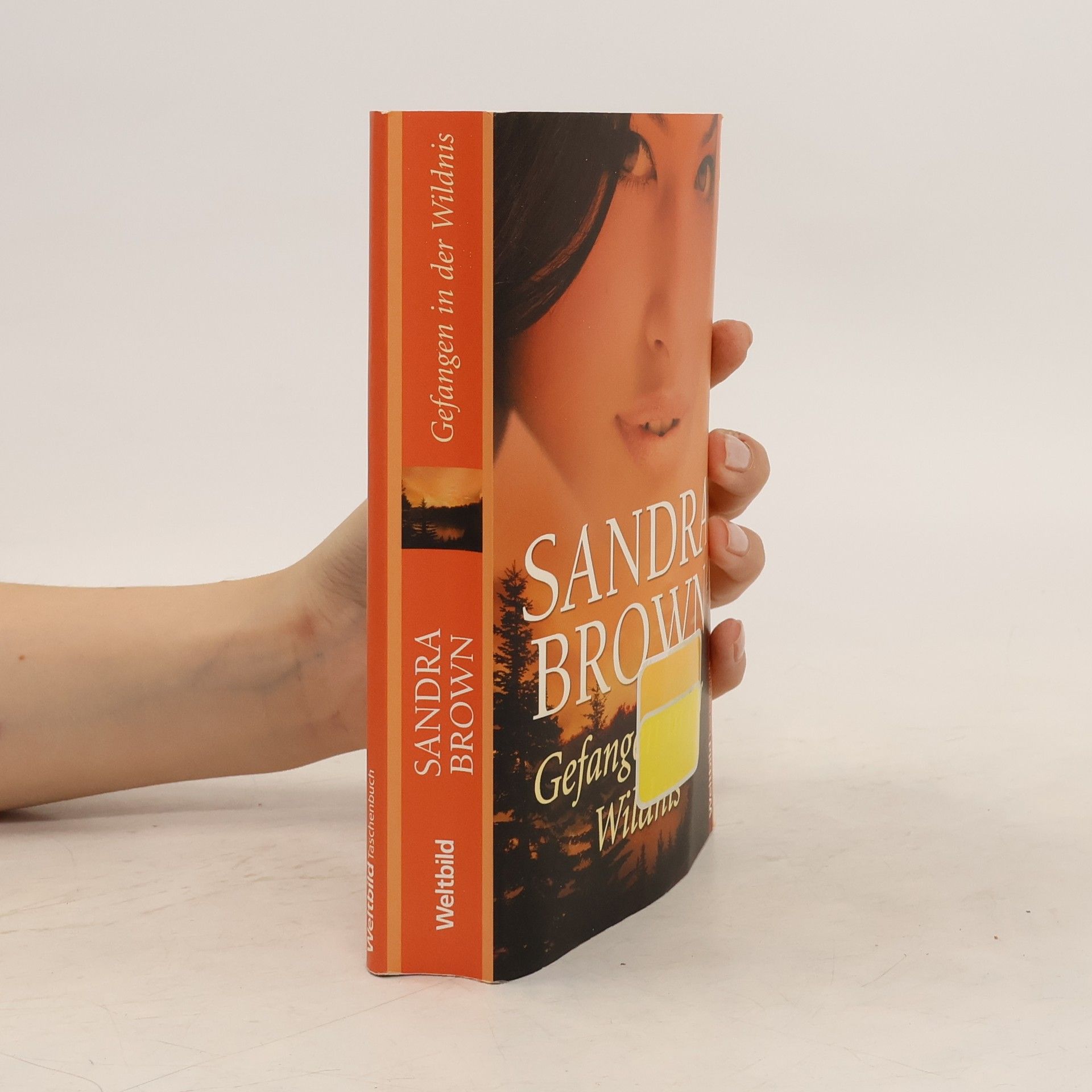 Sandra Brown Gefangen in der Wildnis