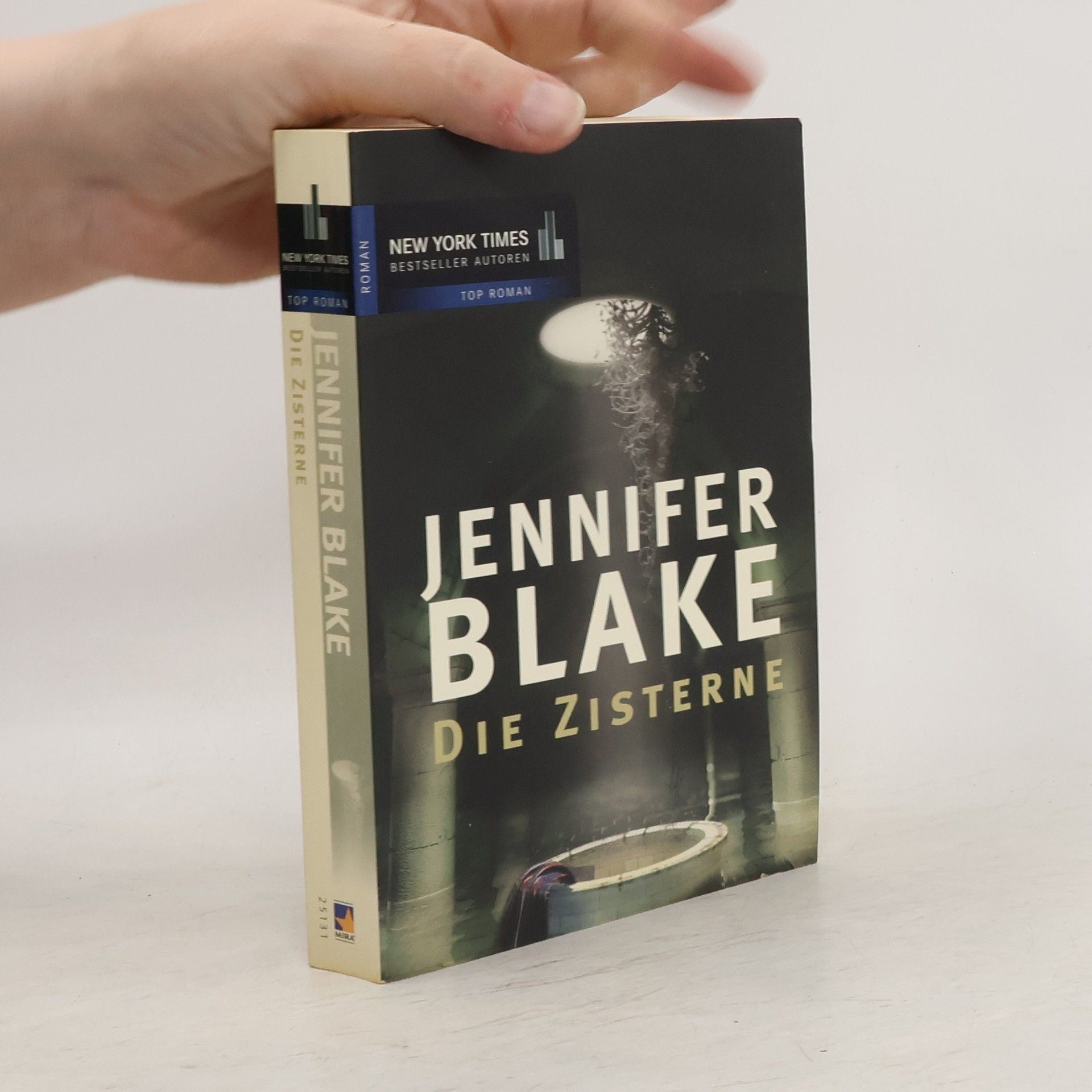 Jennifer Blake Die Zisterne