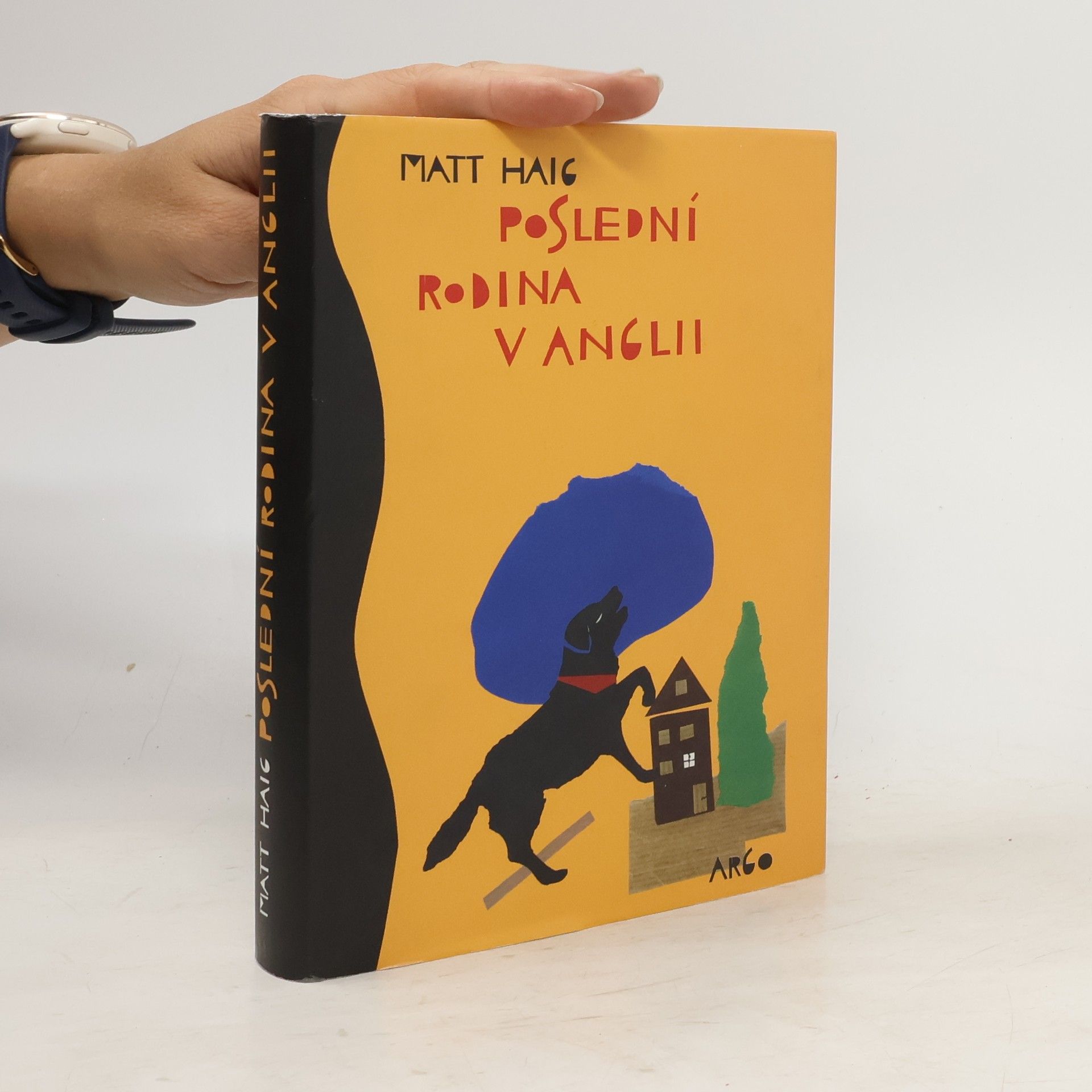 Matt Haig Poslední rodina v Anglii