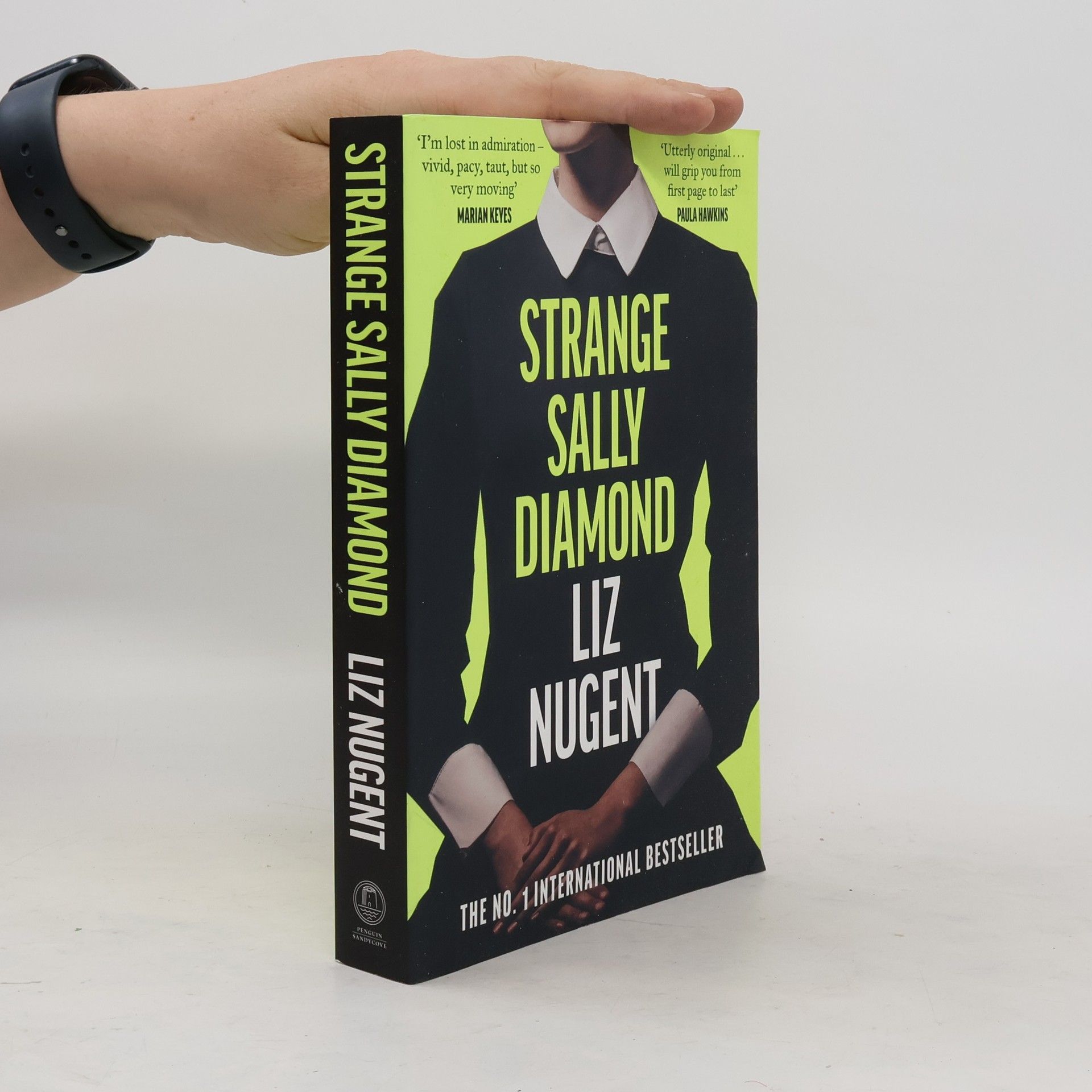 Liz Nugent Strange Sally Diamond
