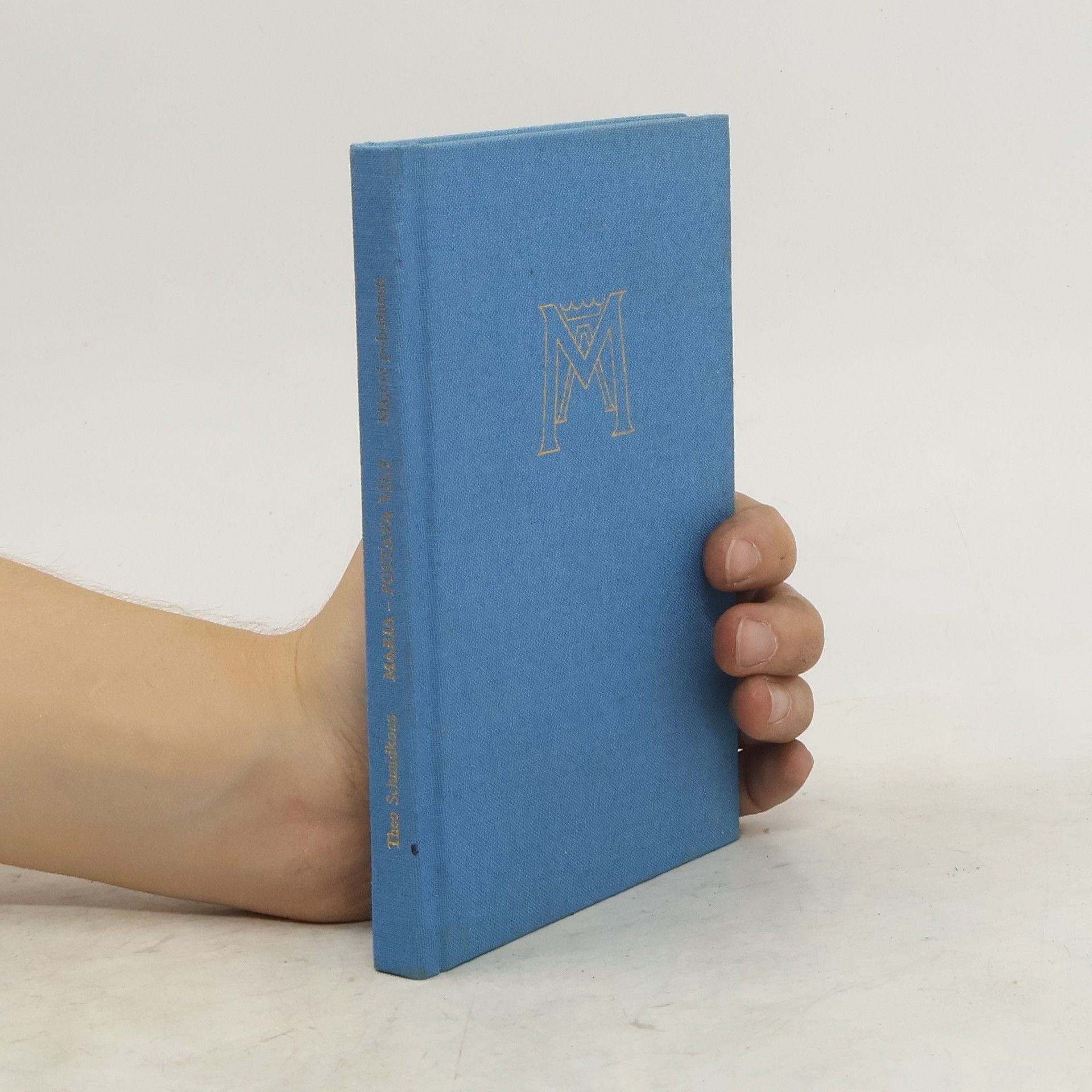 Václav Dvořák Maria - postava víry