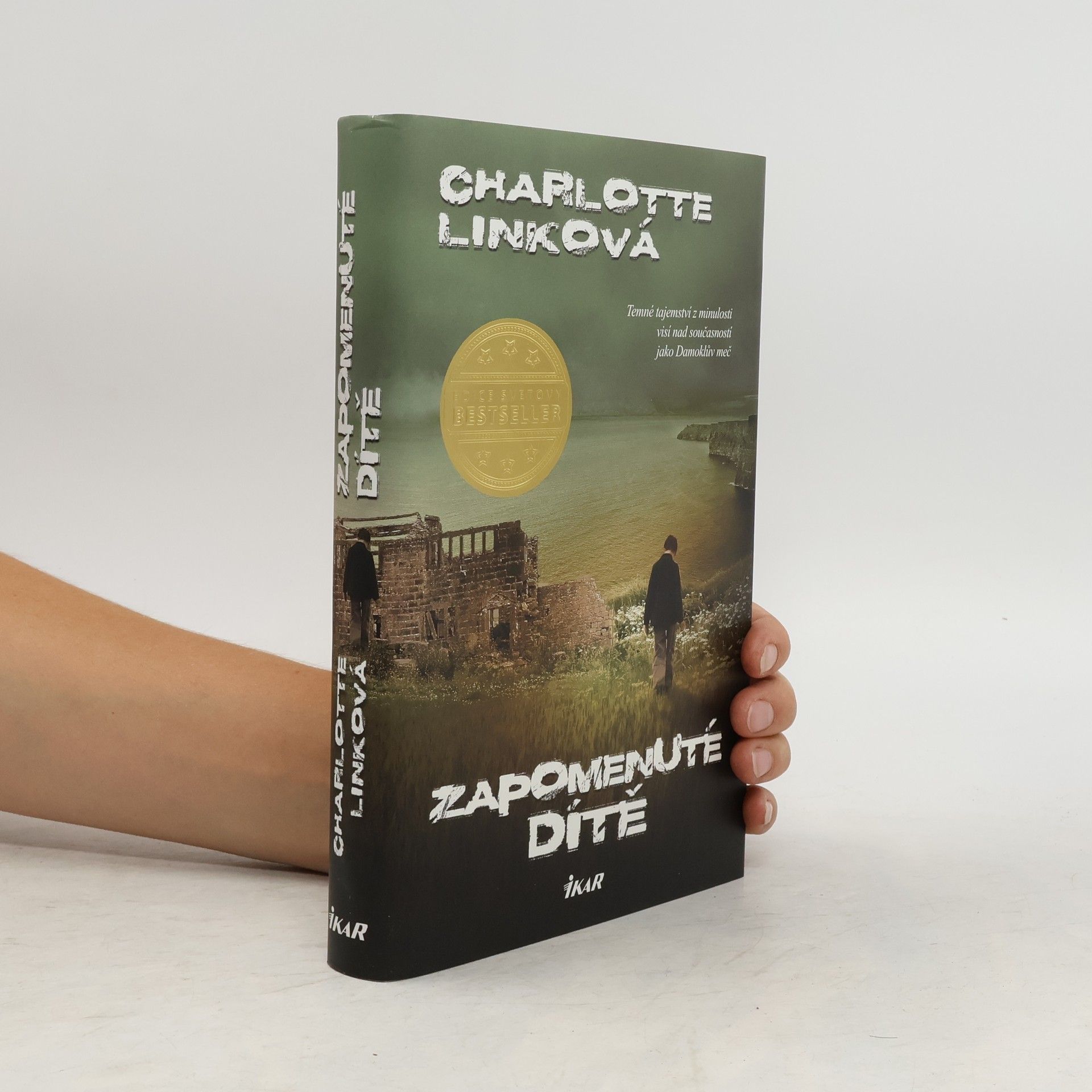 Charlotte Link Zapomenuté dítě