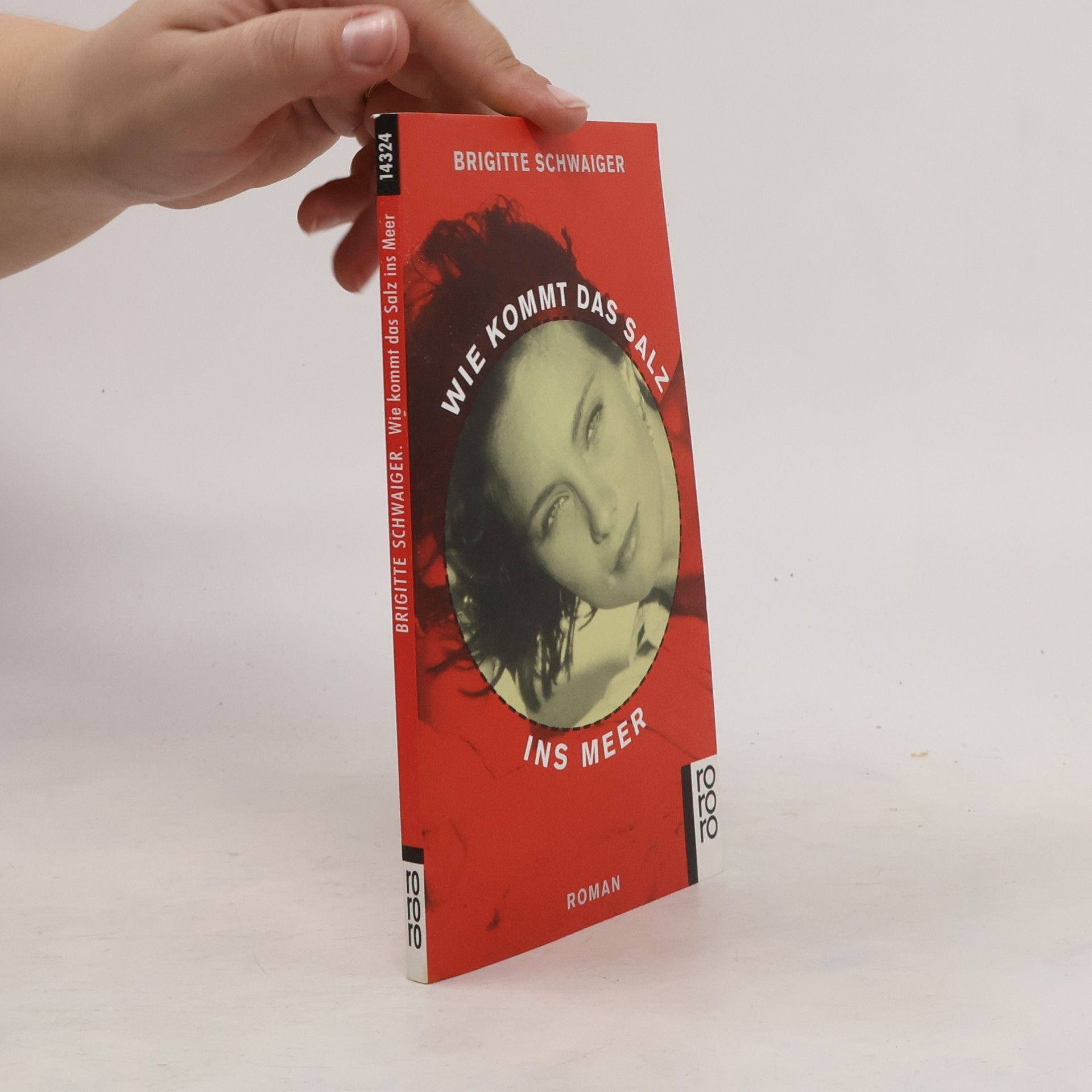 Brigitte Schwaiger Wie kommt das Salz ins Meer