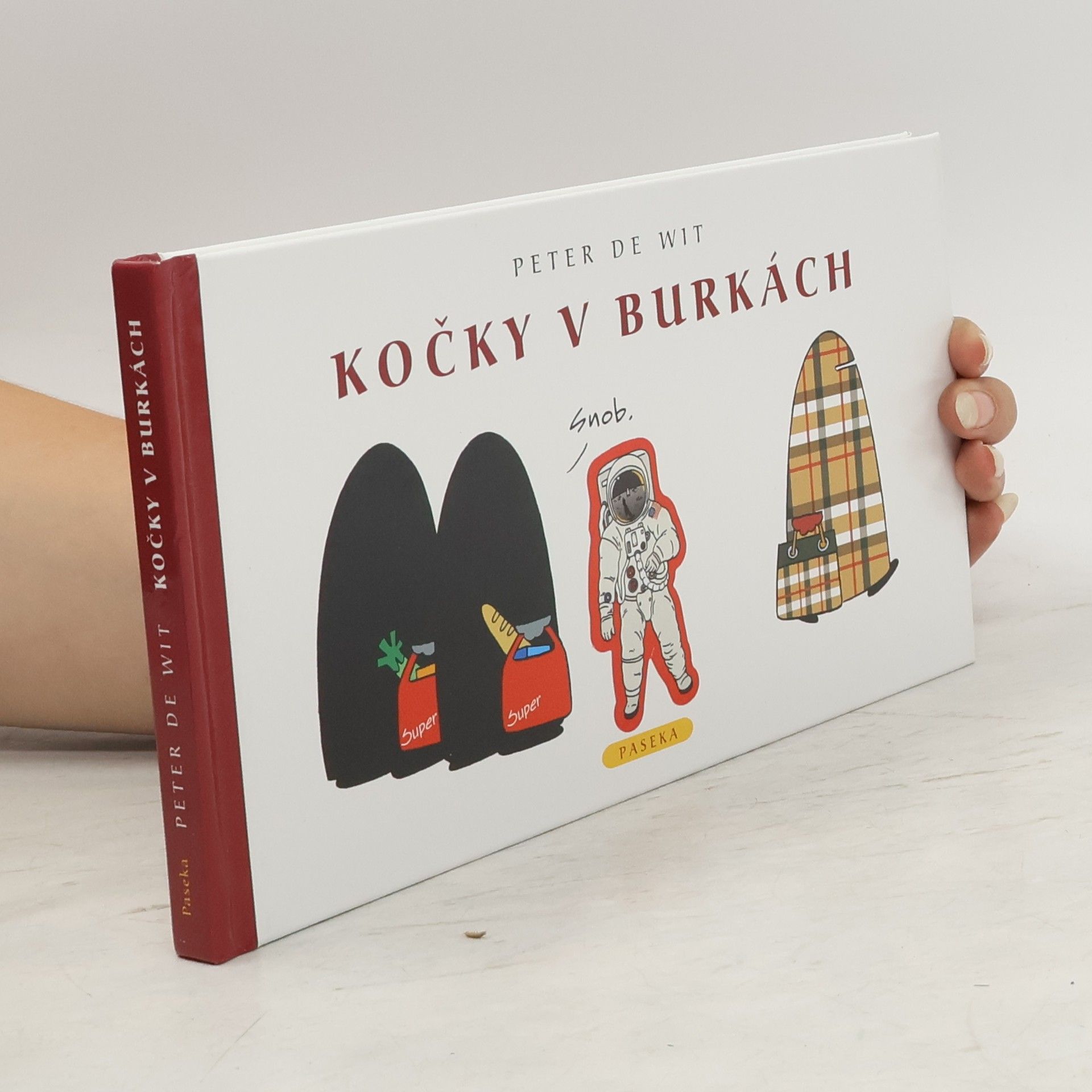 Peter de Wit Kočky v burkách