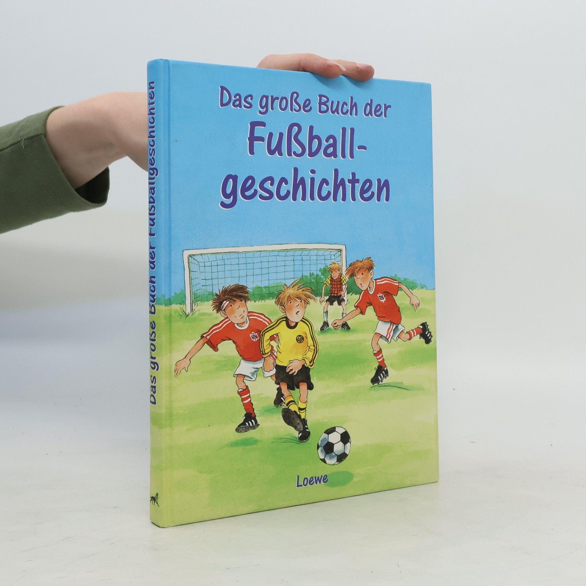 Collectif d'auteurs Das große Buch der Fußballgeschichten