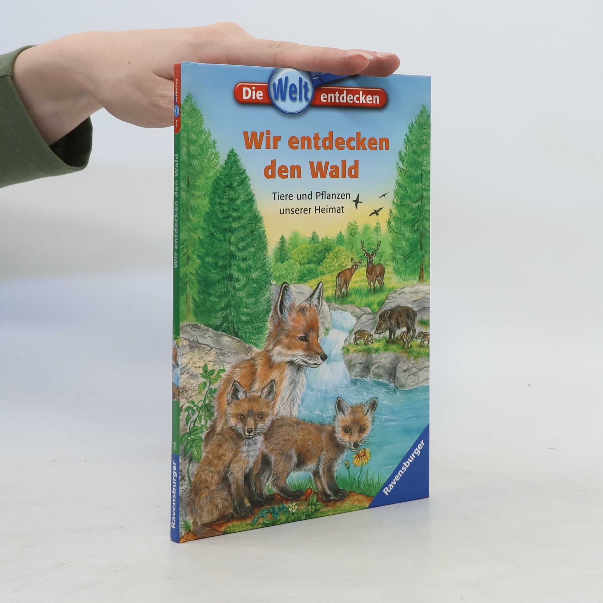 Autorenkollektiv Wir entdecken den Wald