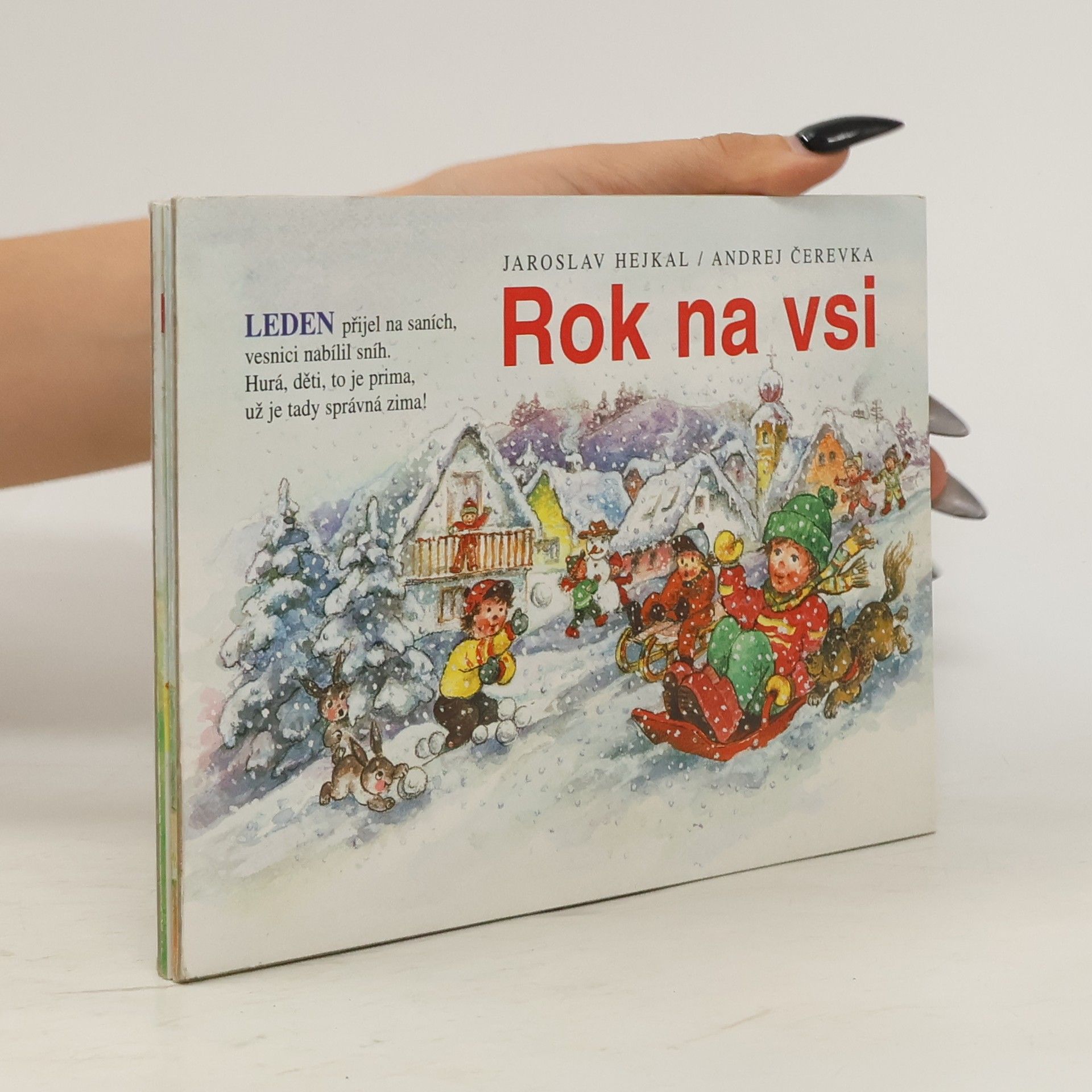 Jaroslav Hejkal Rok na vsi