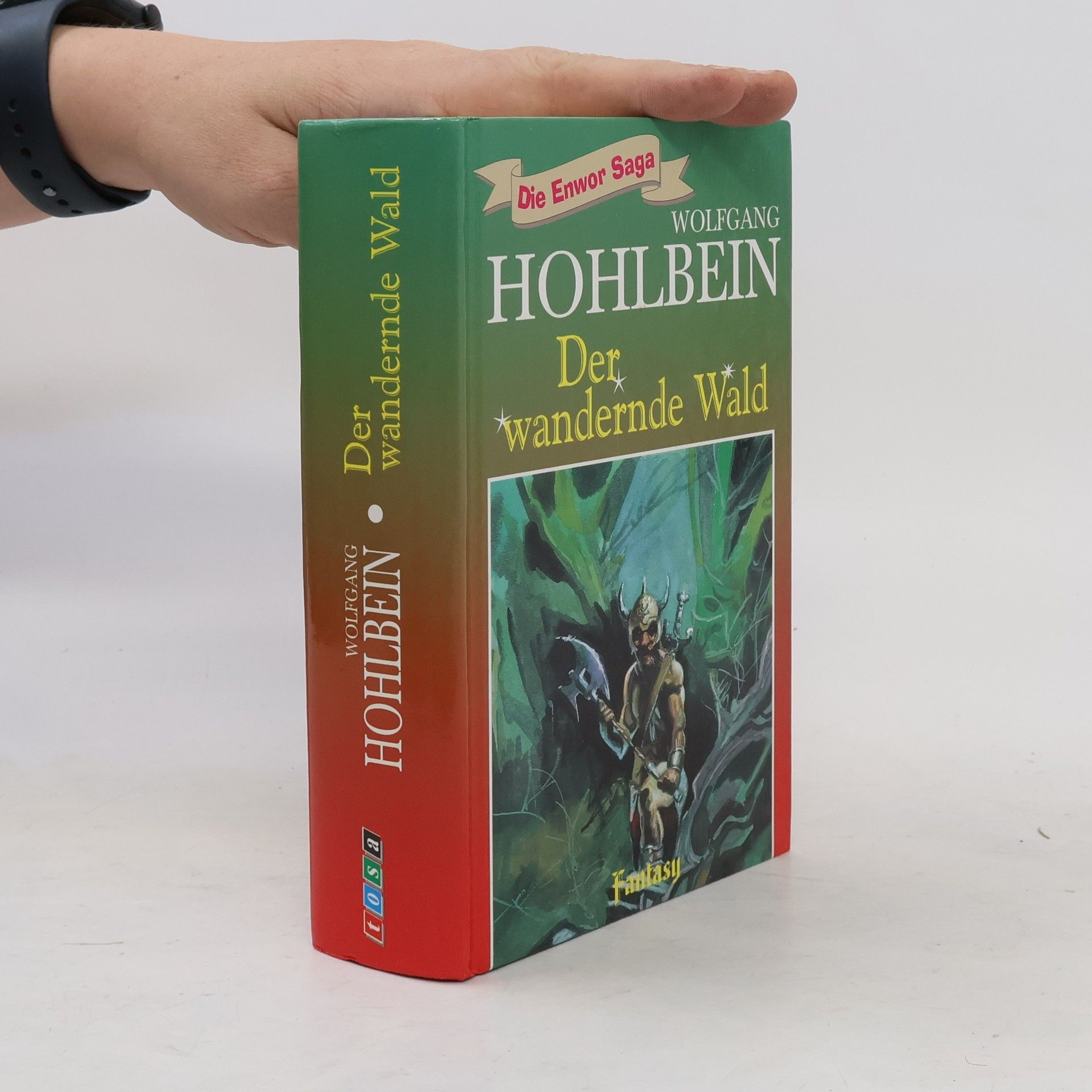 Wolfgang Hohlbein Die Enwor-Saga