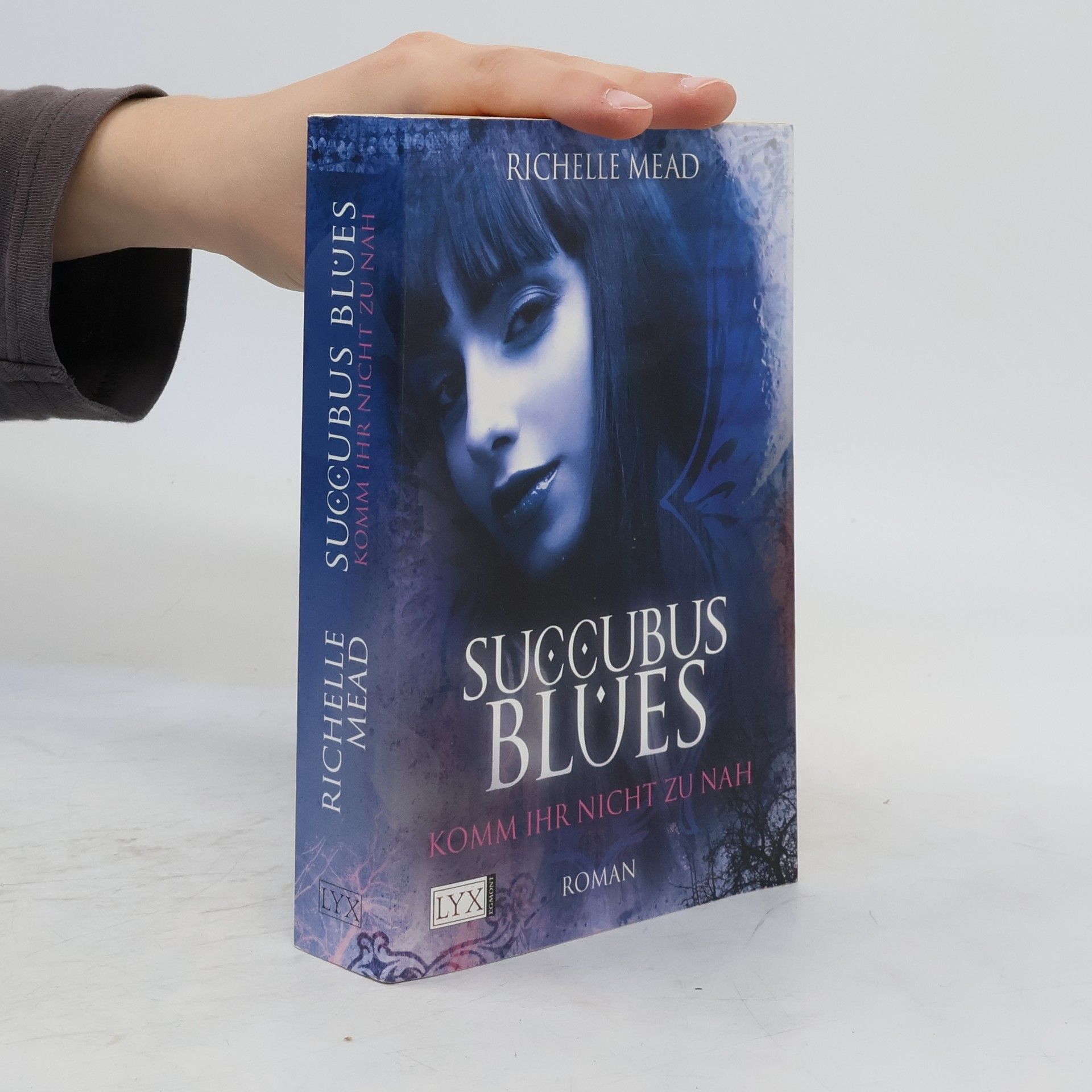 Richelle Mead Succubus Blues