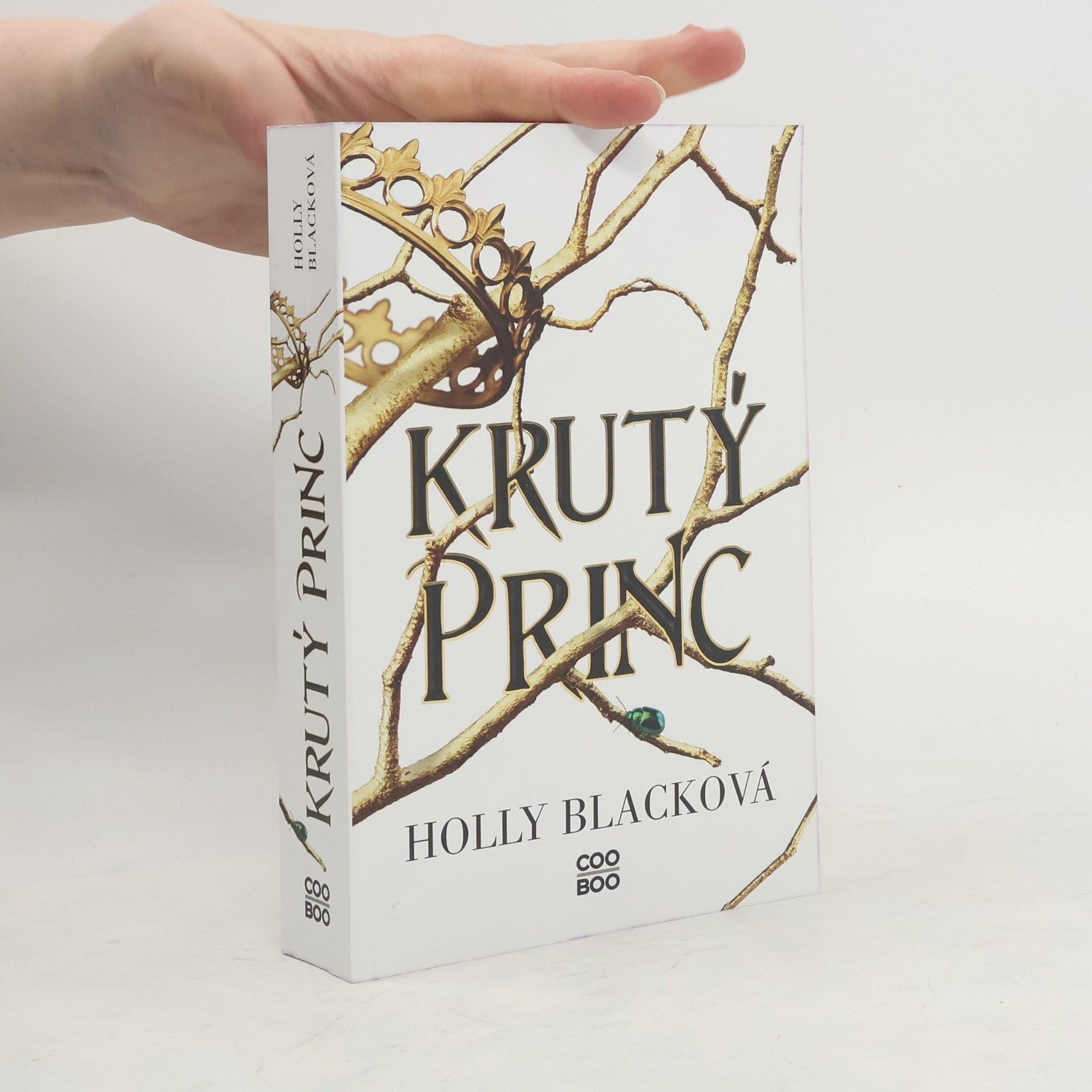 Holly Black Krutý princ