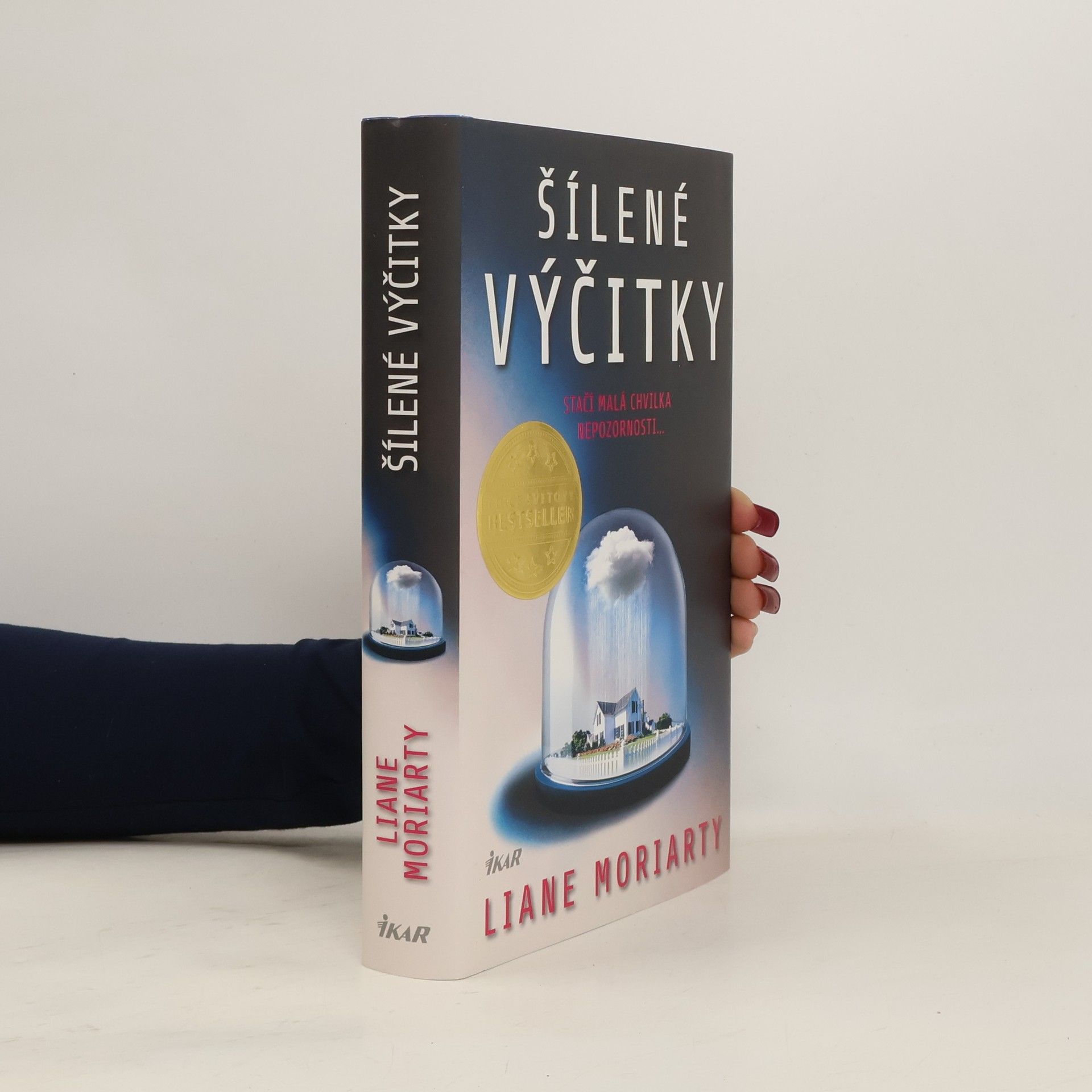Liane Moriarty Šílené výčitky