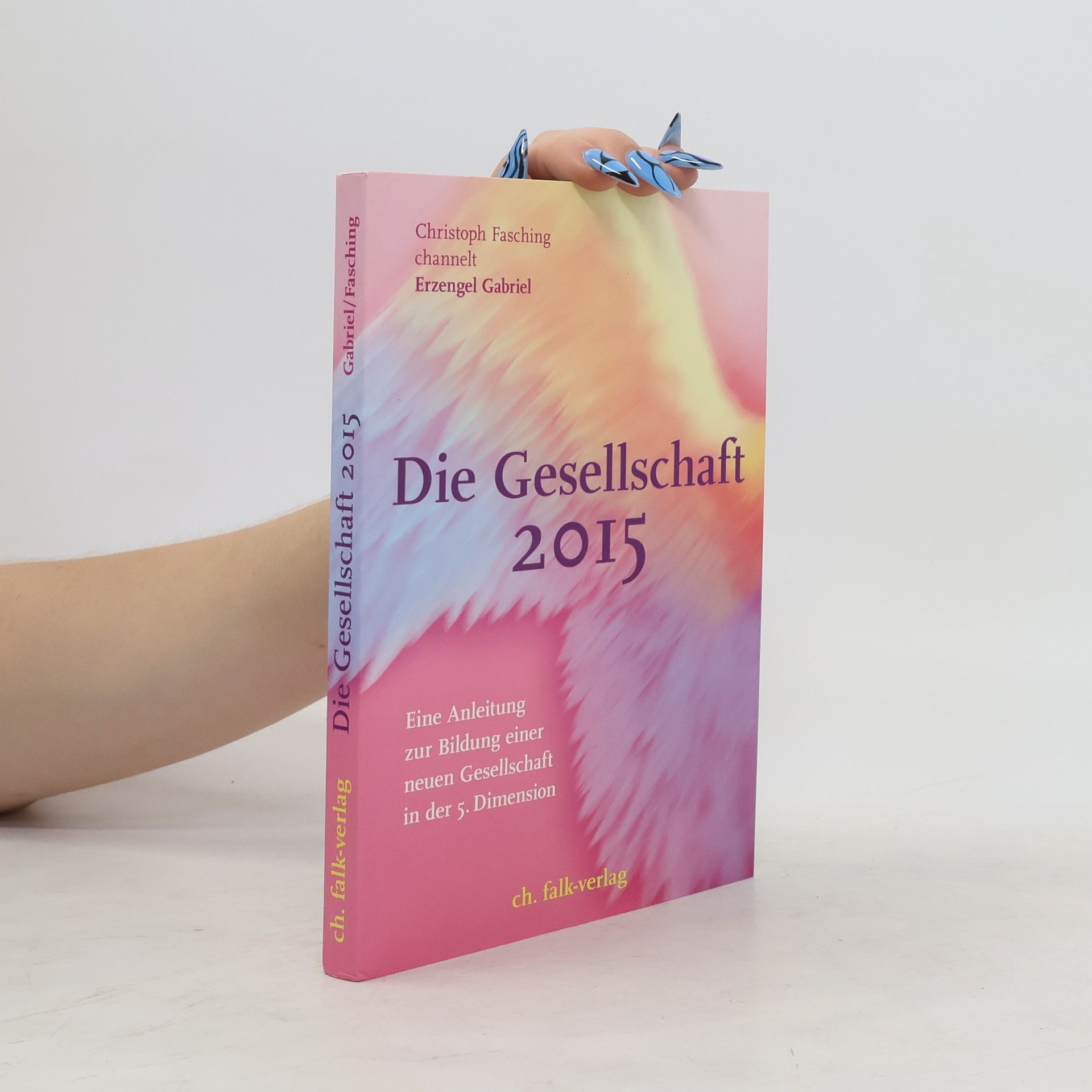 Christoph Fasching Die Gesellschaft 2015