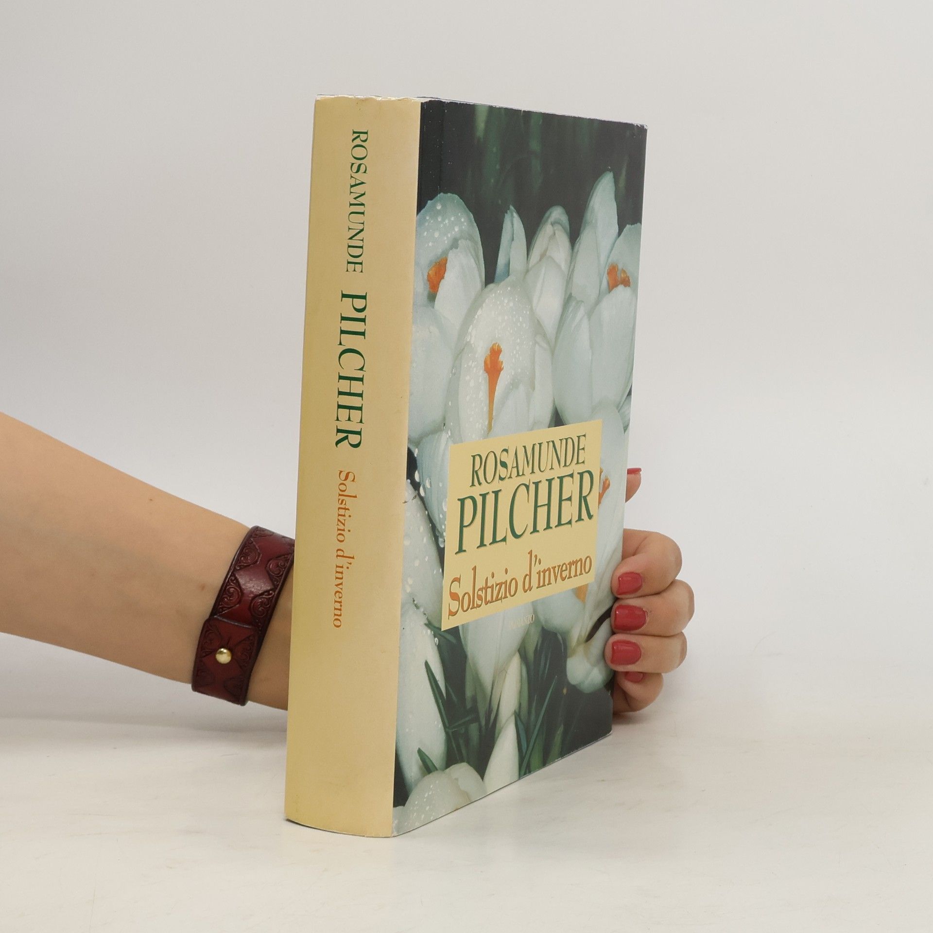 Rosamunde Pilcher Solstizio d'inverno