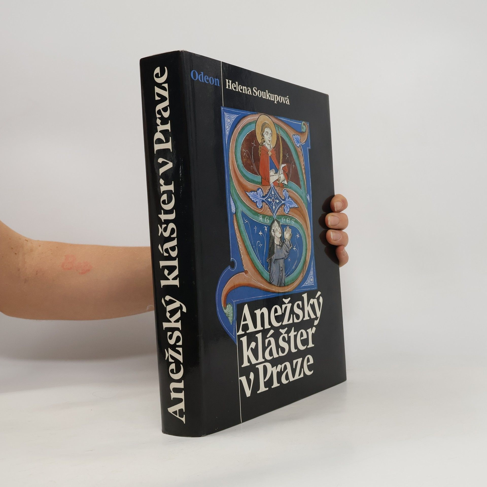 Anežský klášter v Praze
