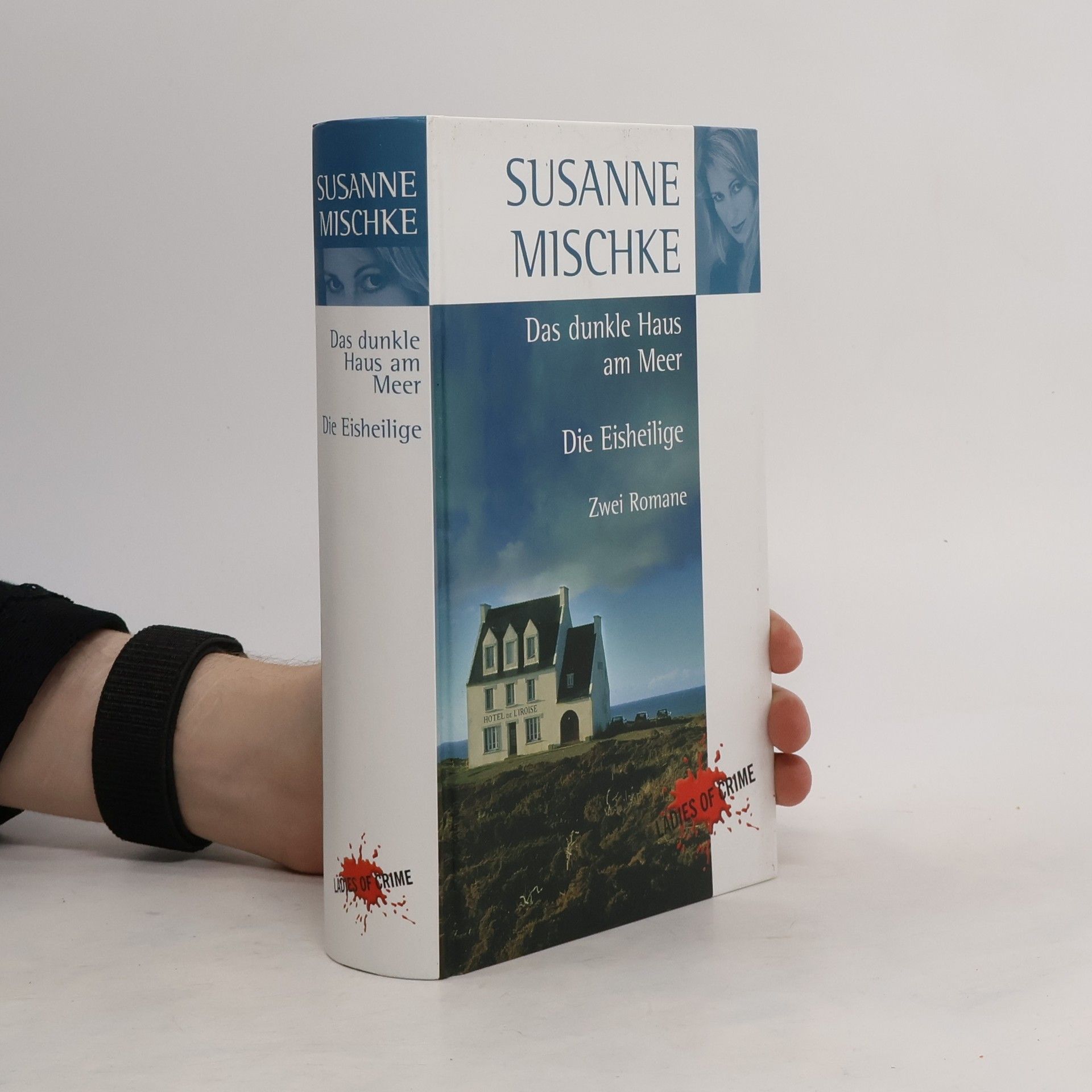 Susanne Mischke Das dunkle Haus am Meer. Die Eisheilige