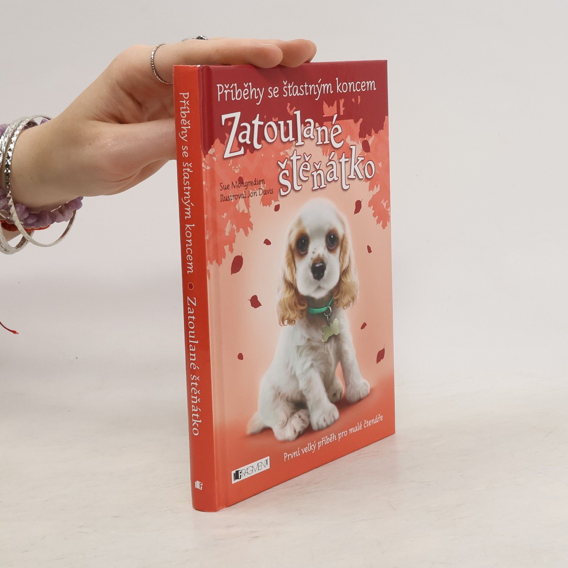 Jon Davis Zatoulané štěňátko