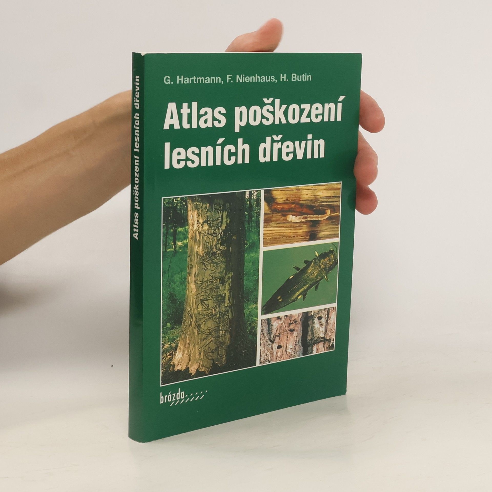 Franz Nienhaus Atlas poškození lesních dřevin