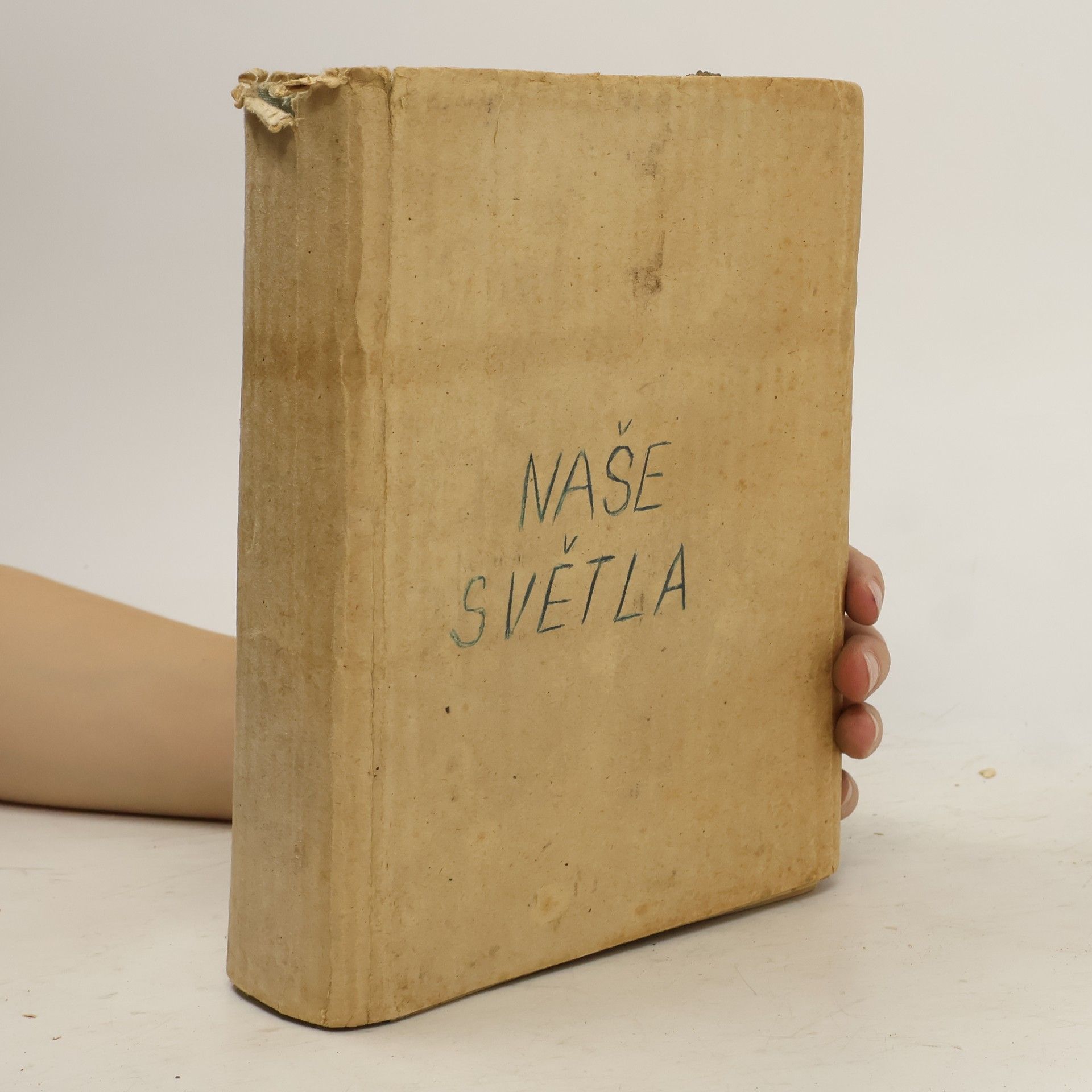 Rudolf Schikora Naše světla. Čtení ze životů svatých