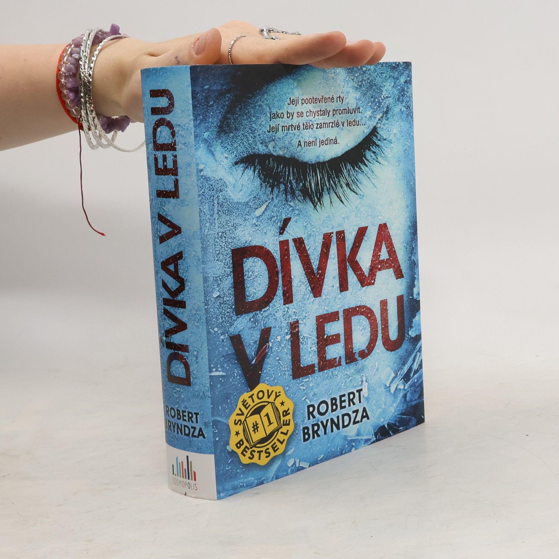 Robert Bryndza Dívka v ledu