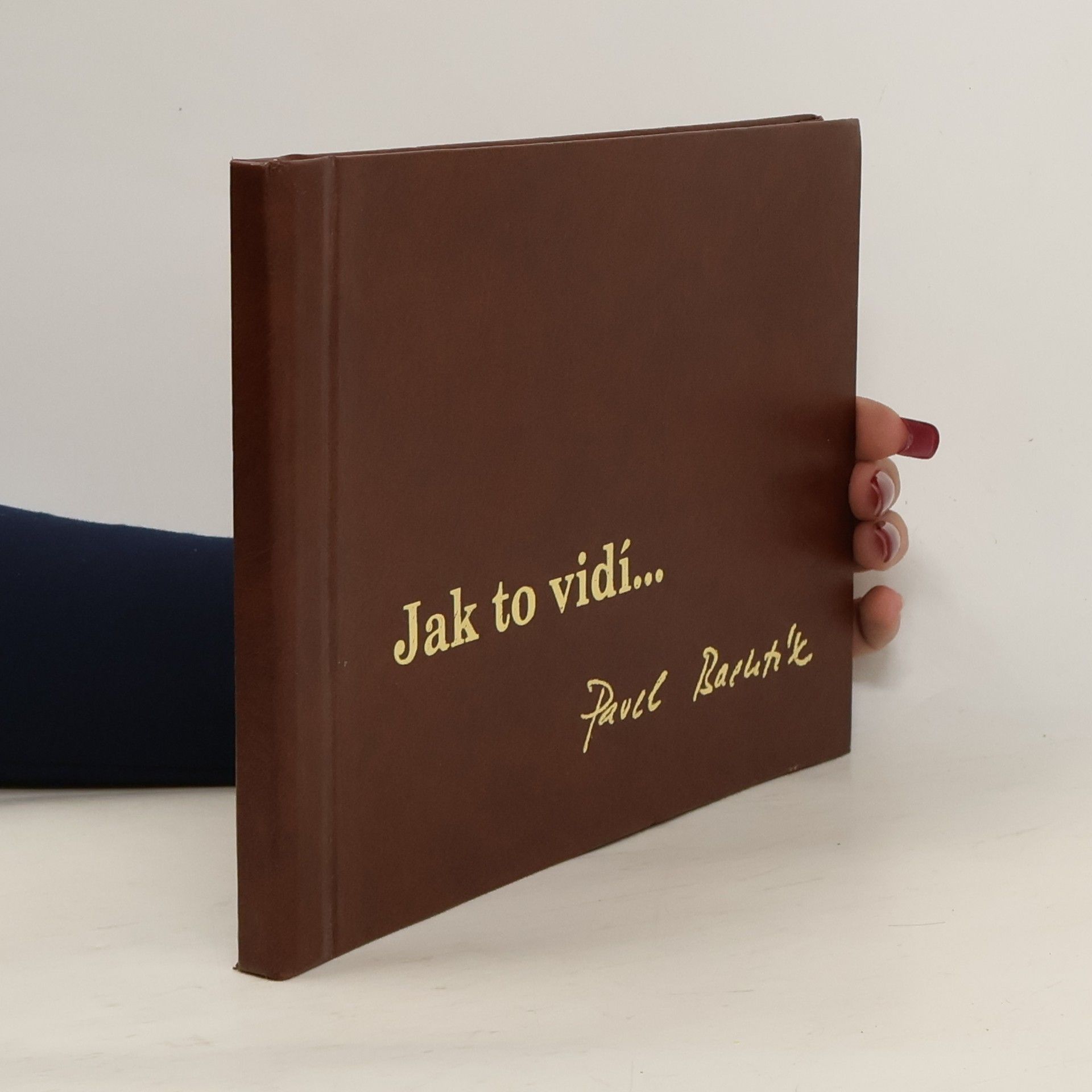 Pavel Bachtík Jak to vidí… Pavel Bachtík