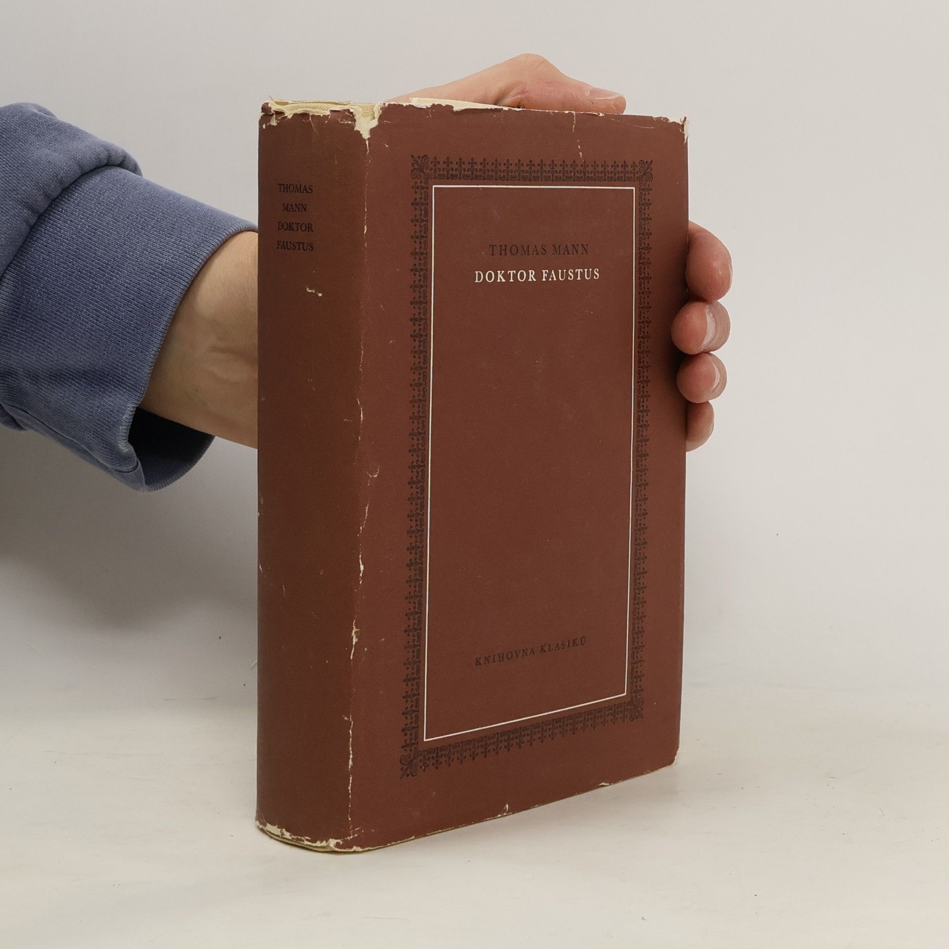 Thomas Mann Doktor Faustus