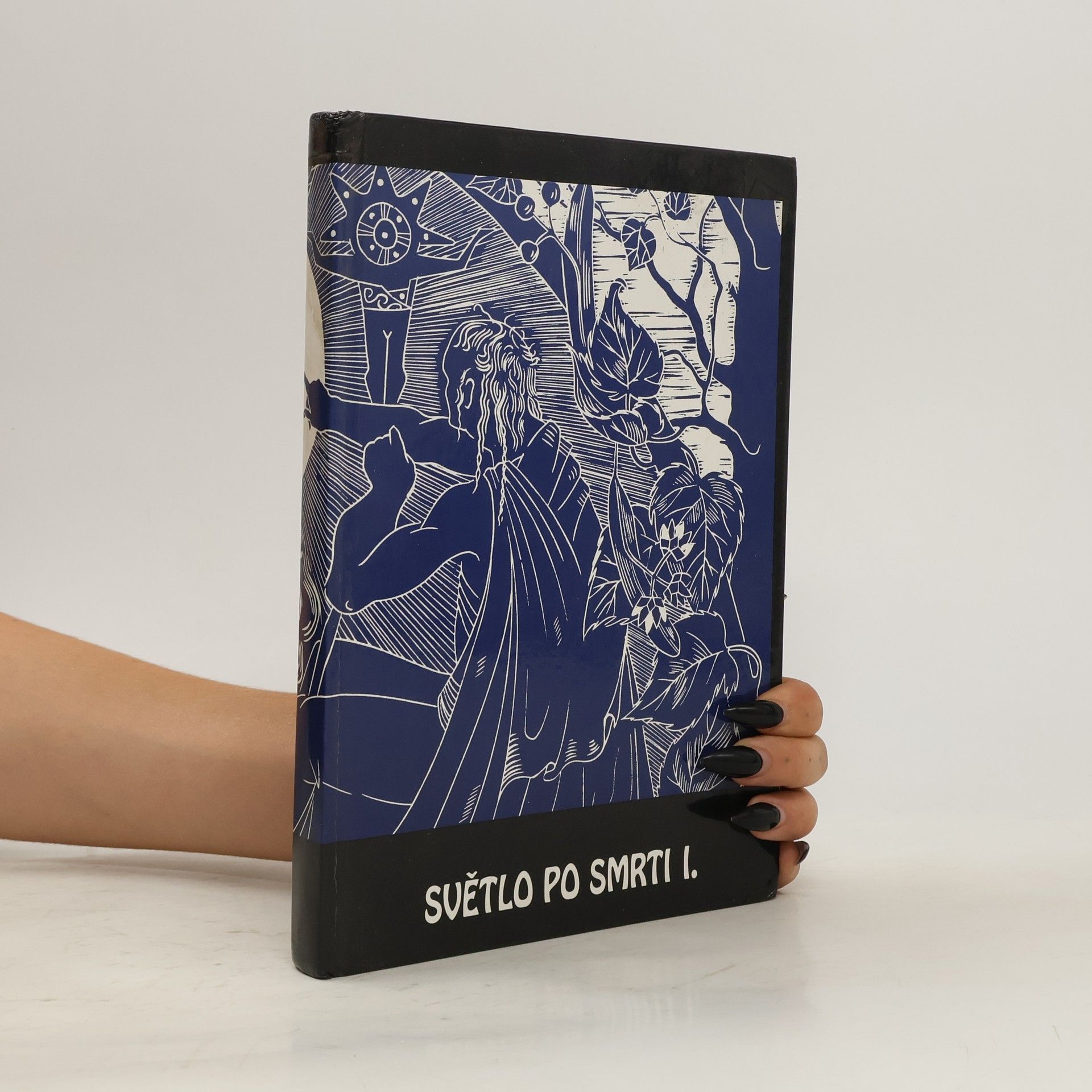 Collectif d'auteurs Světlo po smrti I.