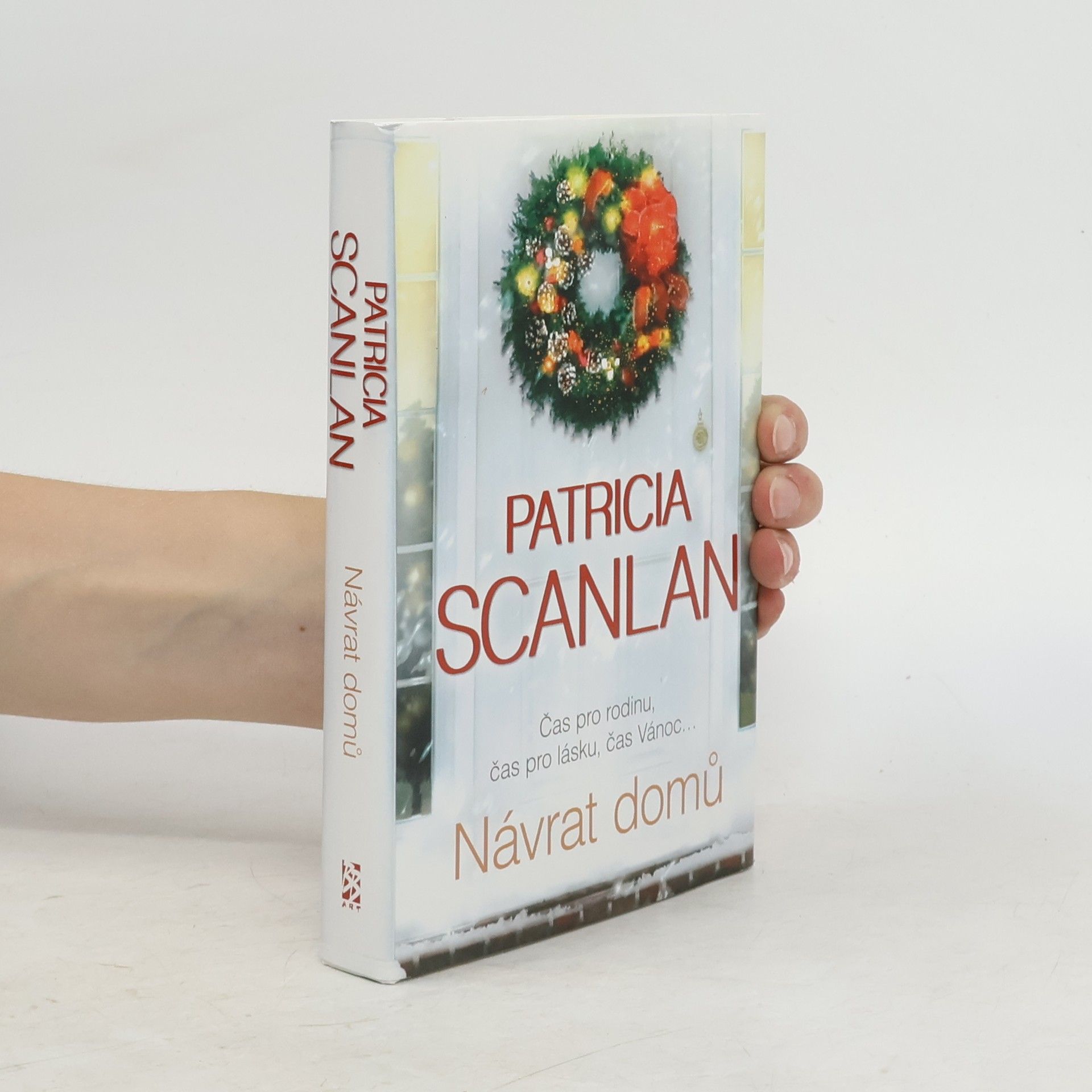 Patricia Scanlan Návrat domů