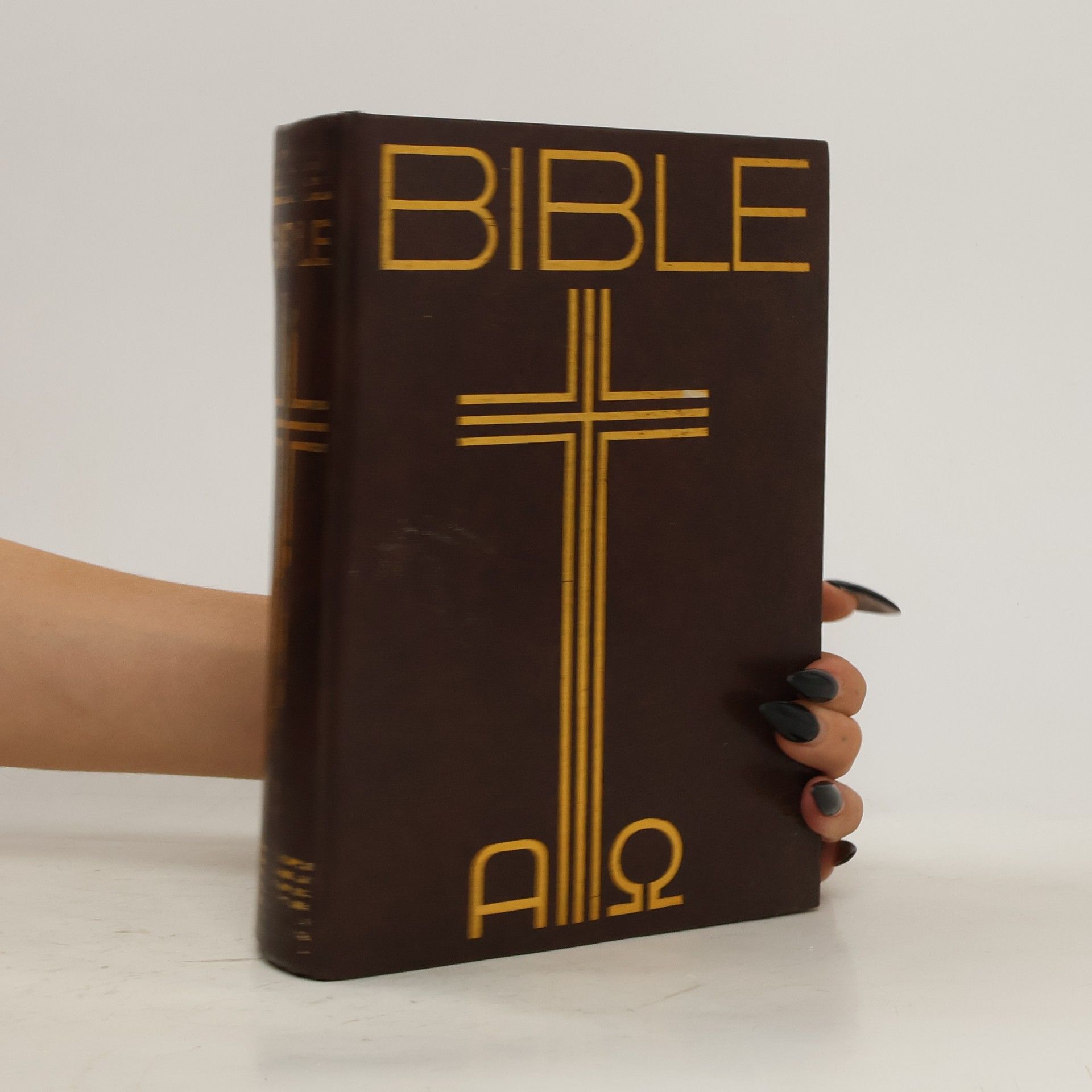 Collectif d'auteurs Bible. Písmo svaté Starého a Nového zákona
