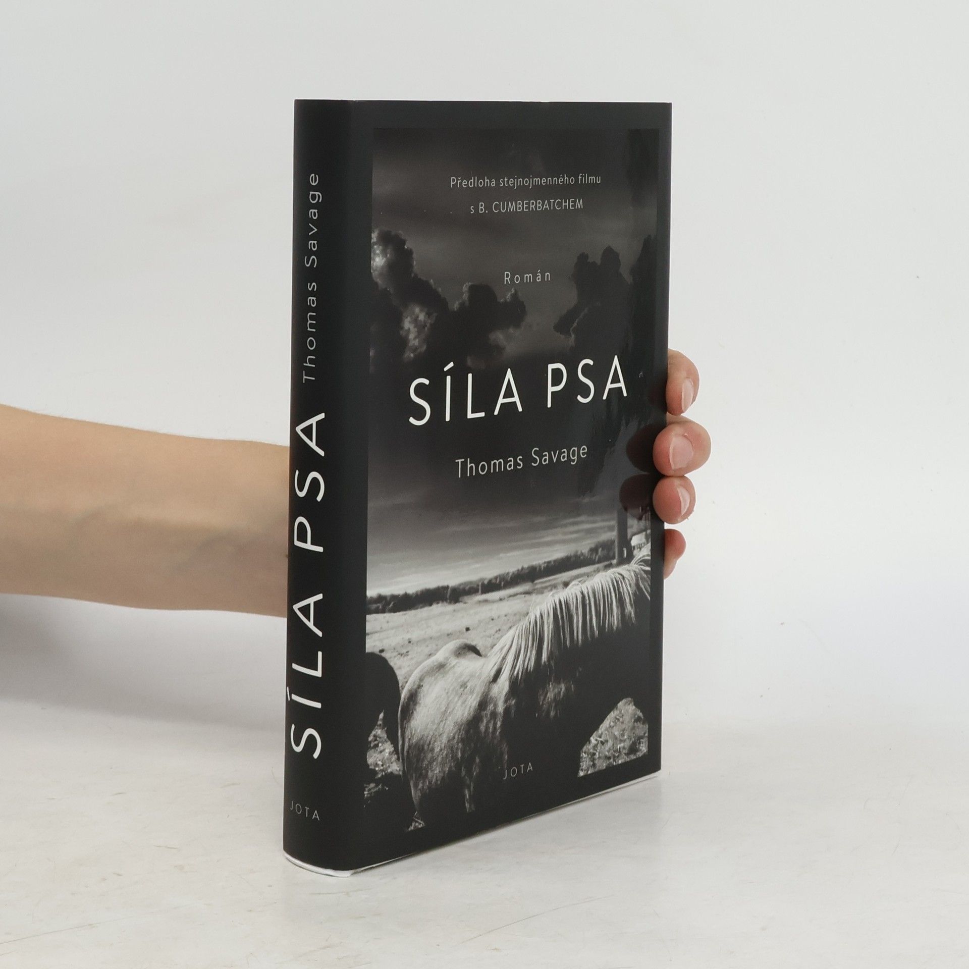 Thomas Savage Síla psa