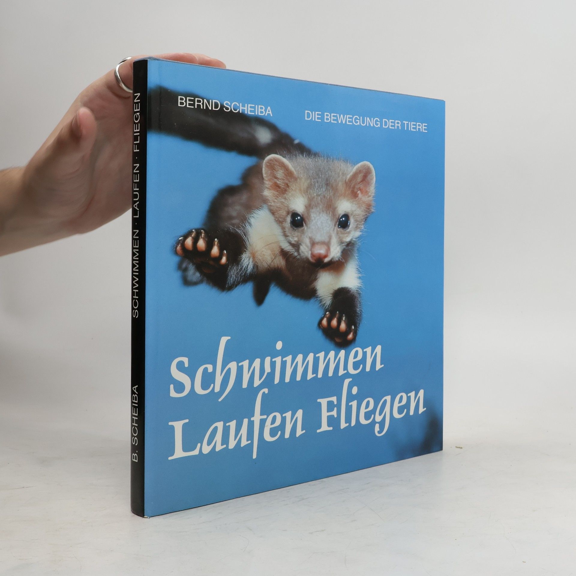 Bernd Scheiba Schwimmen, Laufen, Fliegen
